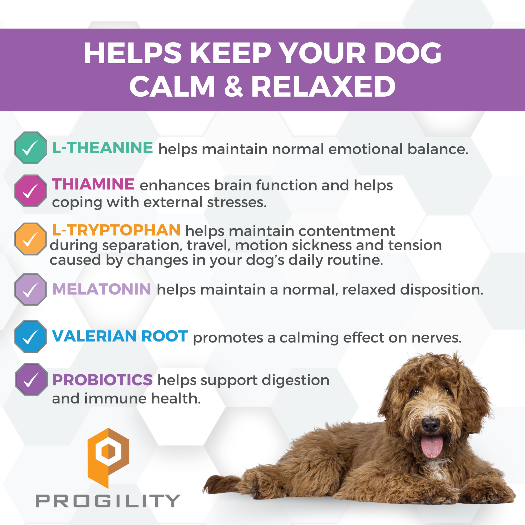 L-theanine, thiamine, L-tryptophan, melatonin and valerian root help keep your dog calm and relaxed