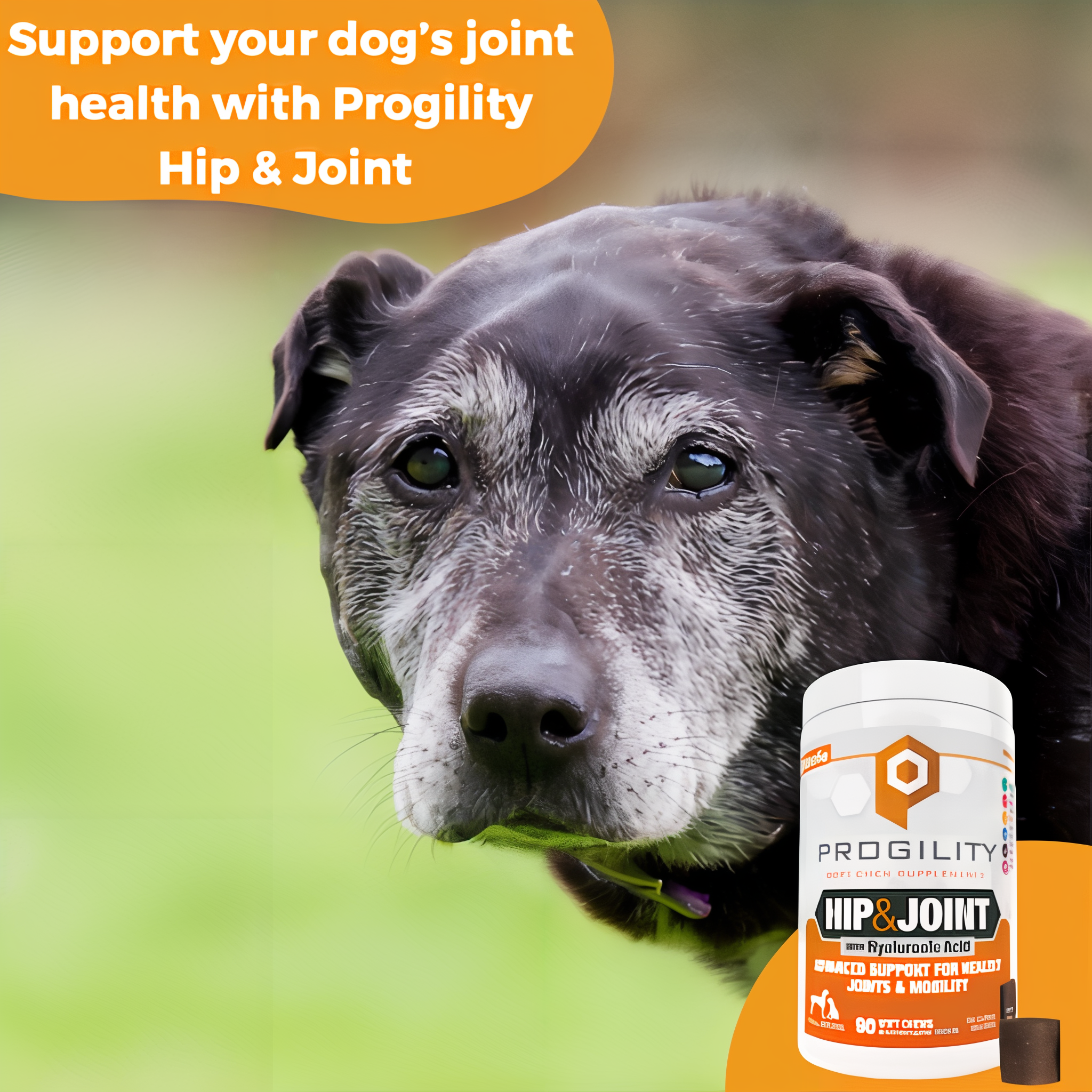 Support your dogs joint health with Progility Hip and Joint