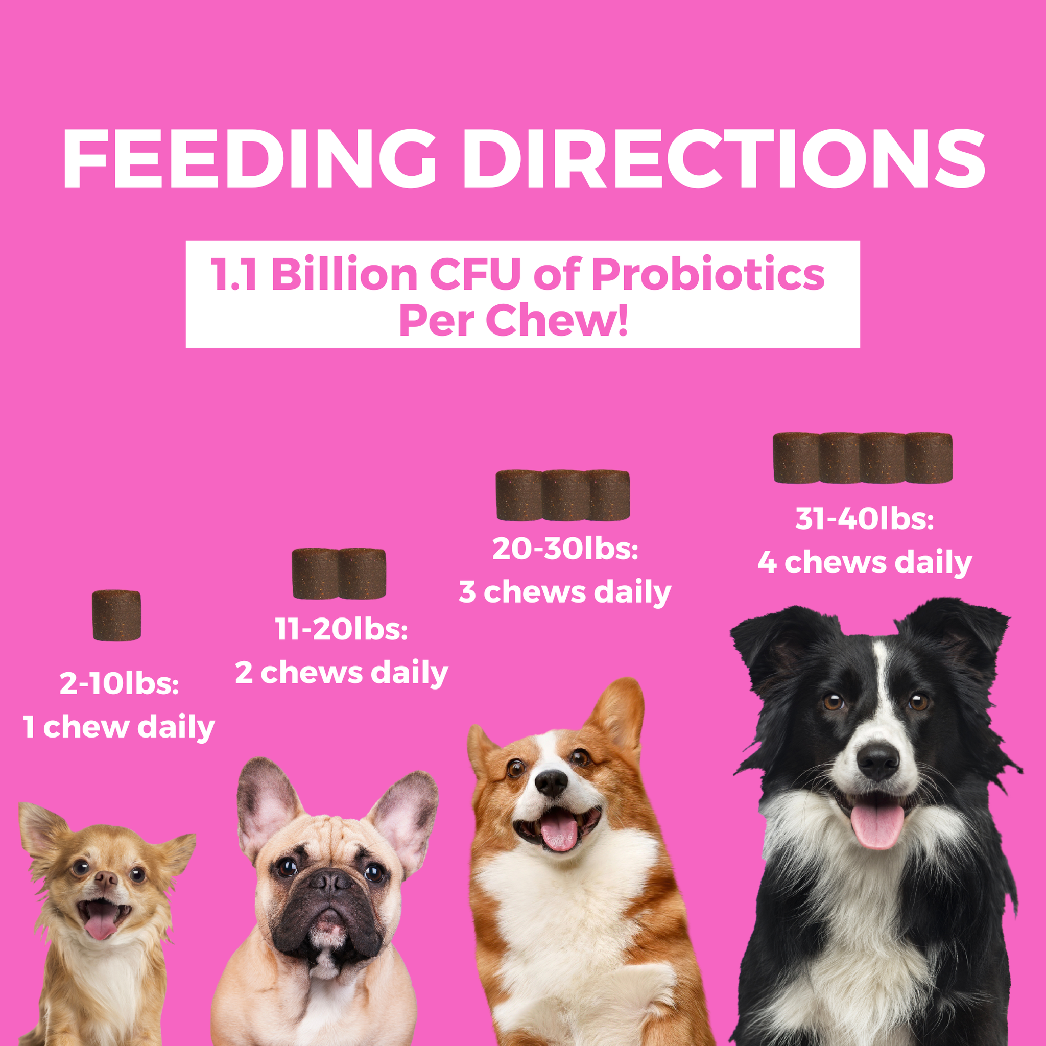 Feeding directions with 1.1 billion CFU of probiotics per chew