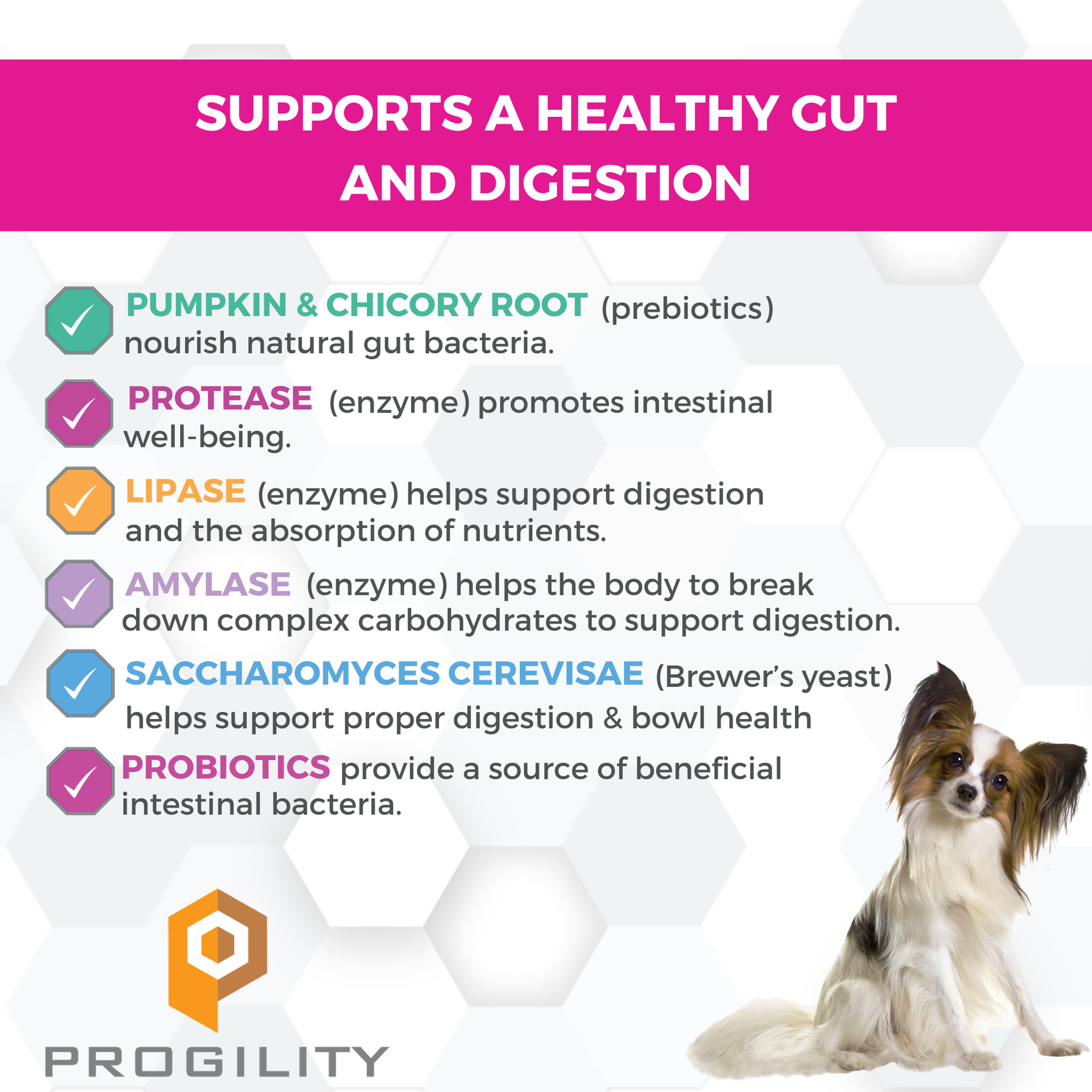 Prebiotics, digestive enzymes, brewers yeast and probiotics support a healthy gut and digestion