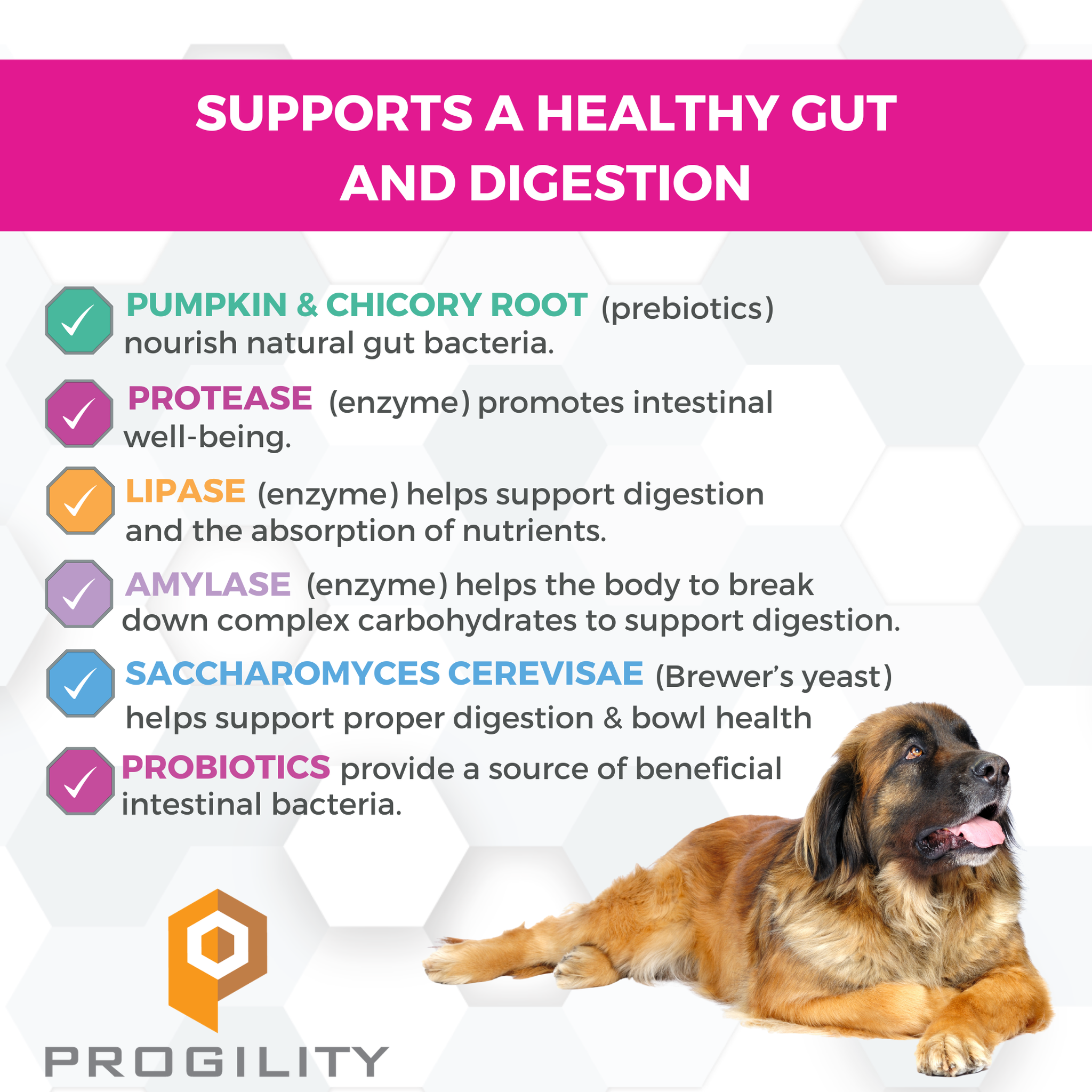Prebiotics, digestive enzymes, brewers yeast and probiotics support a healthy gut and digestion