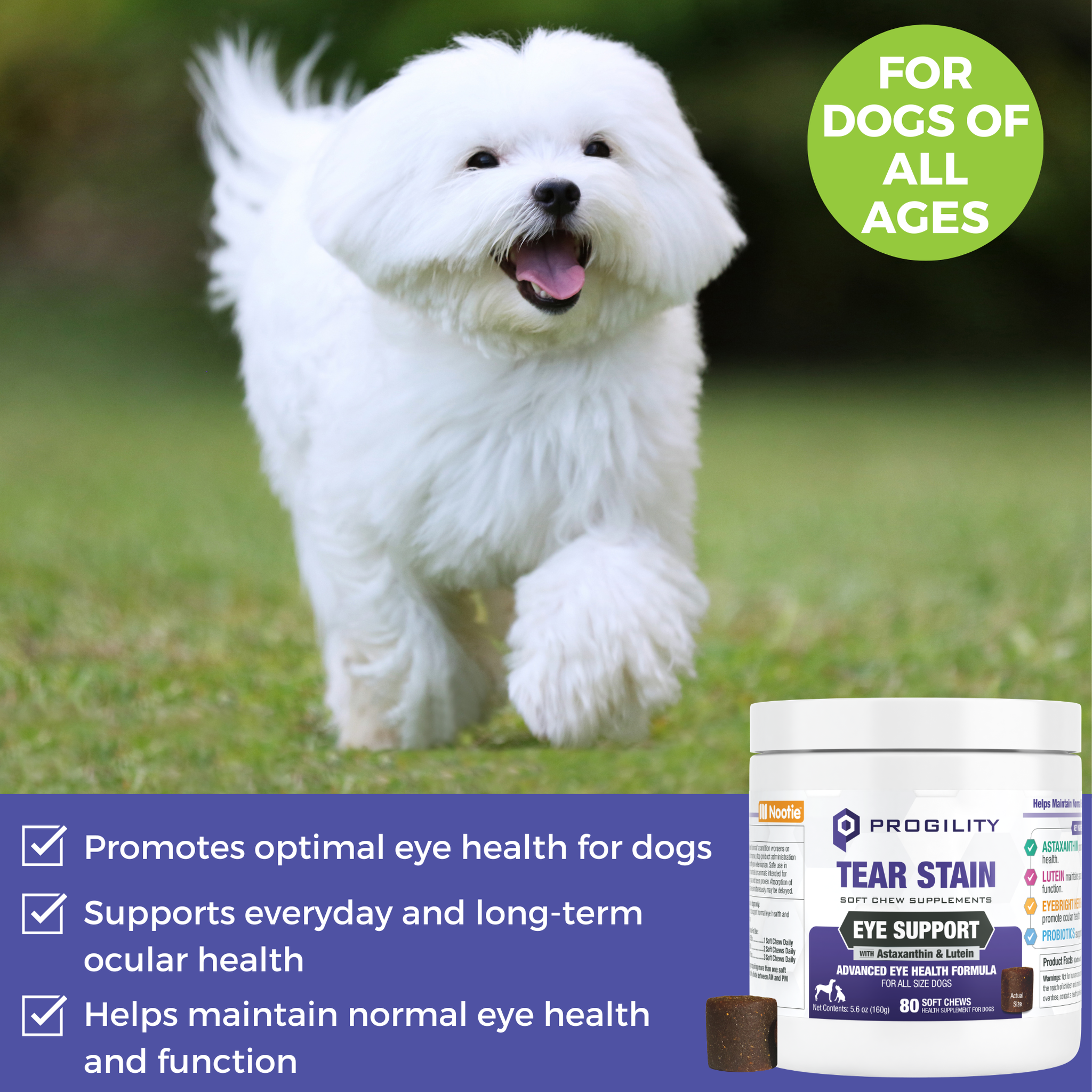 Promotes optimal eye health for dogs of all ages and supports long-term ocular health