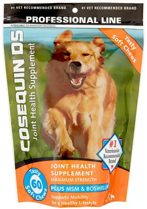 Nutramax Cosequin DS Plus MSM Dog Supplement