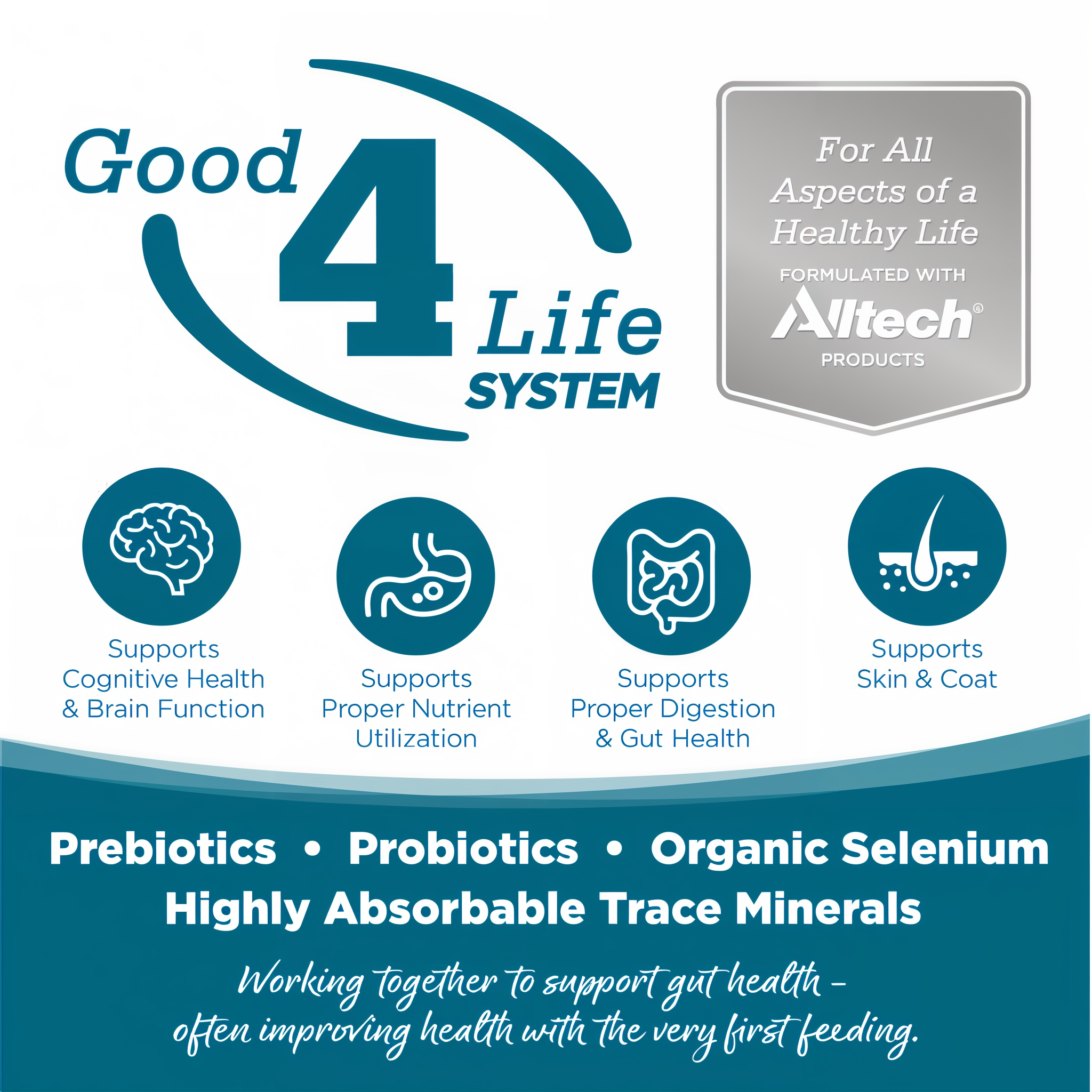Good 4 Life: proprietary prebiotic and probiotic system for gut health