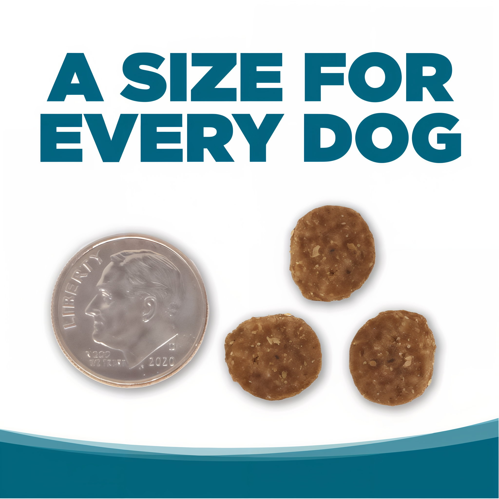 Kibble size shown next to a penny for scale