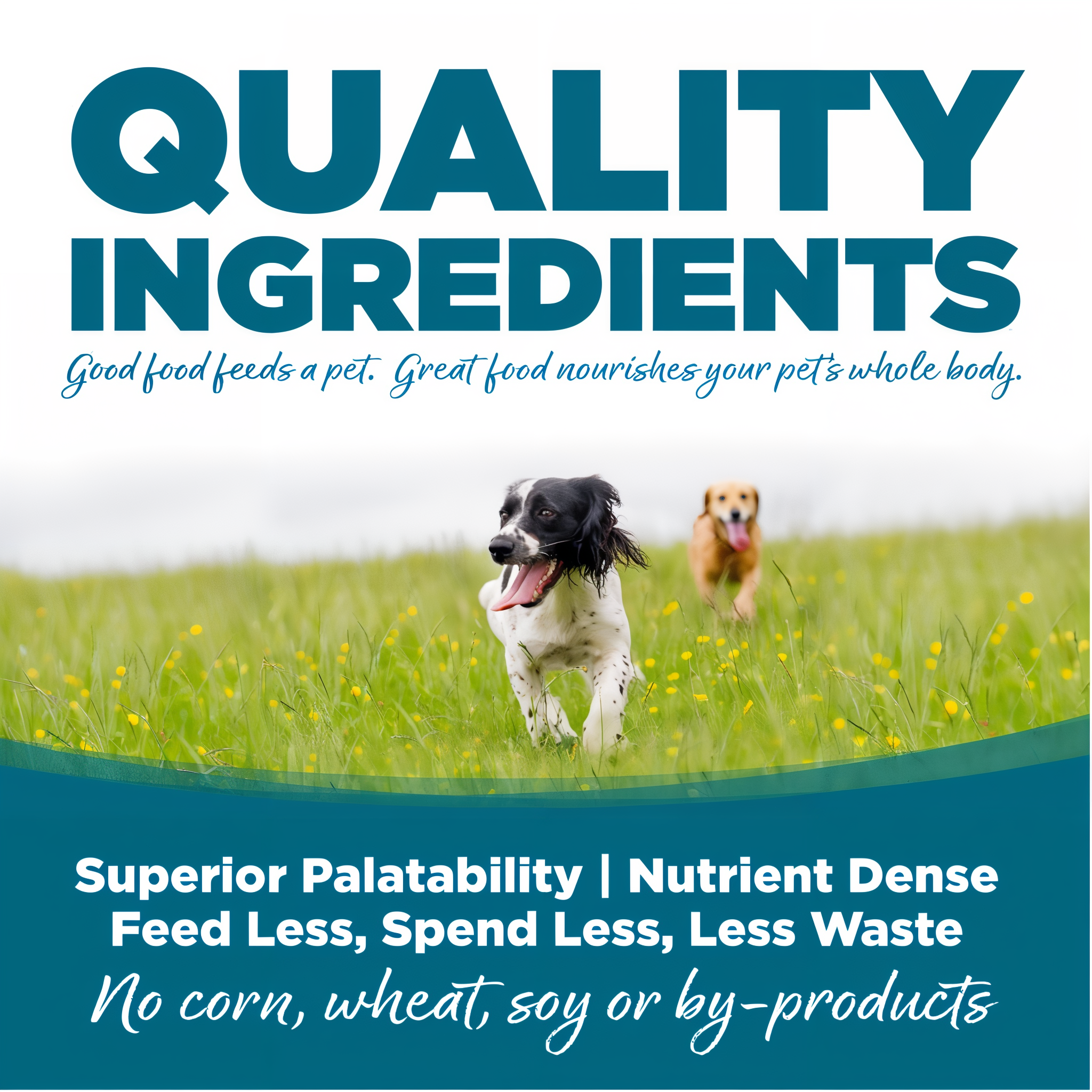 Quality ingredients for superior palatability and digestibility