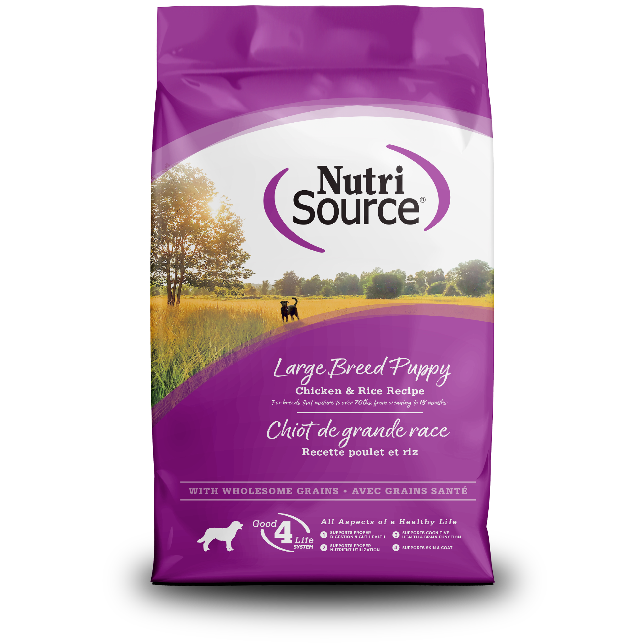 NutriSource Large Breed Puppy Chicken & Rice Recipe Dry Dog Food bag