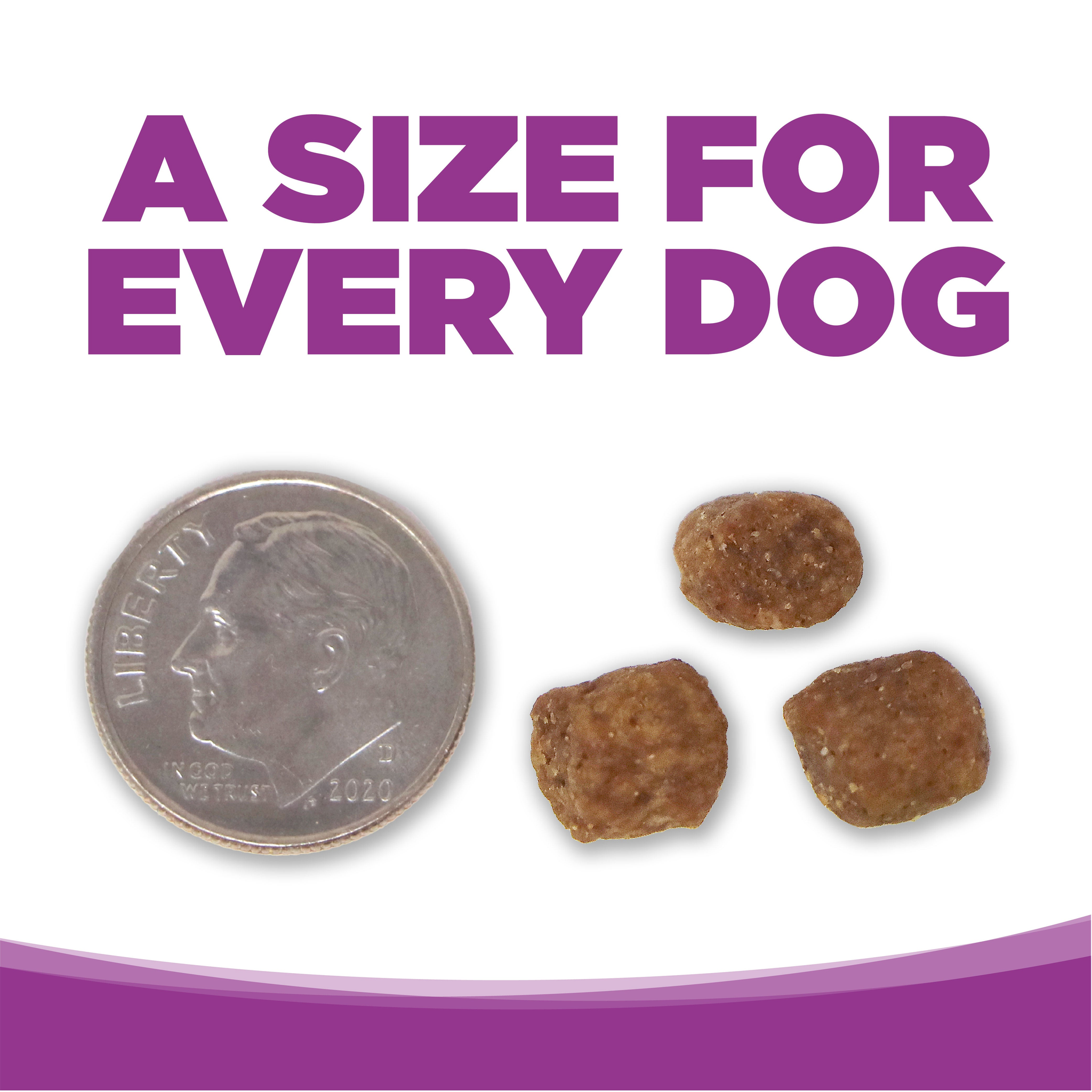 Kibble size shown next to a penny for scale
