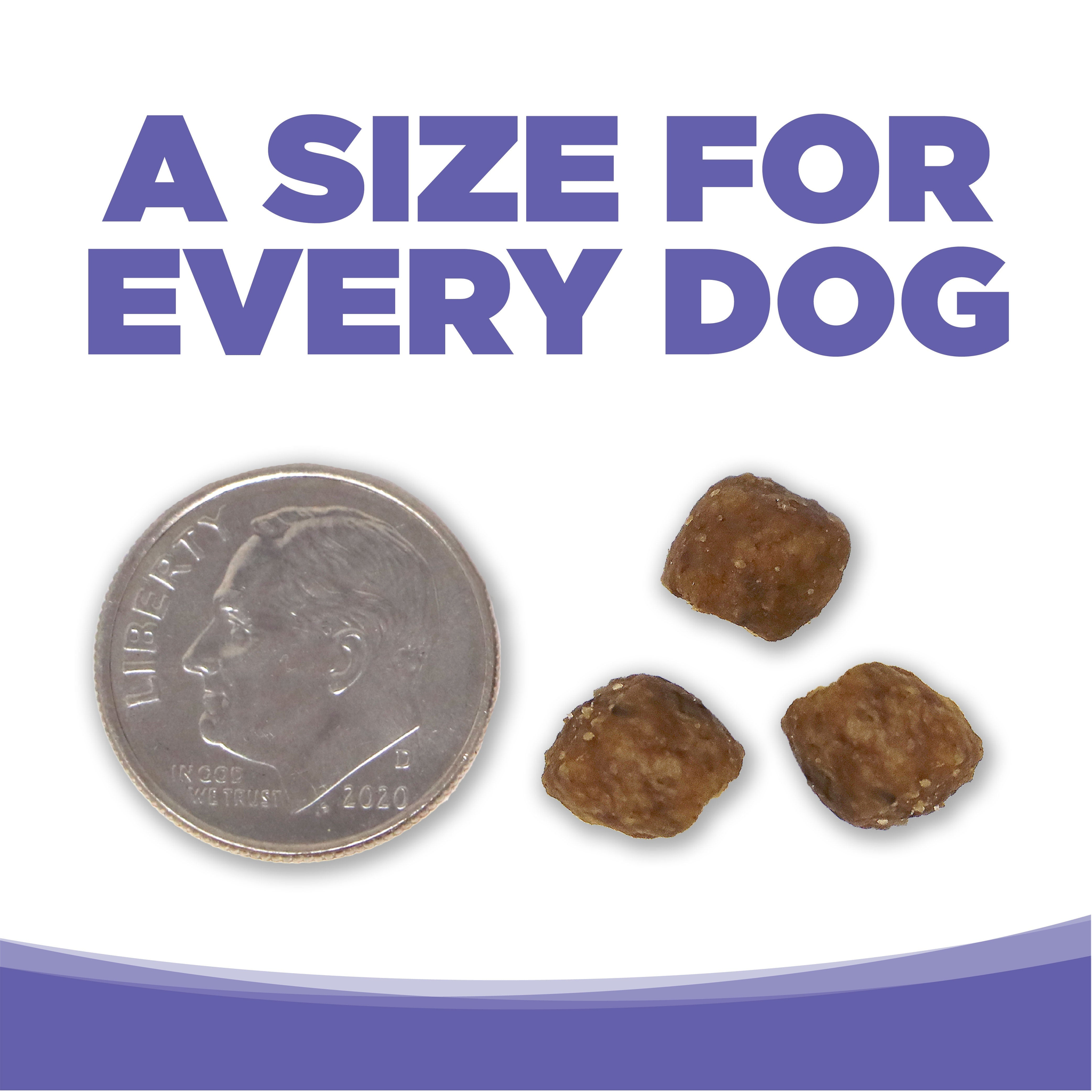Kibble size shown next to a penny for scale