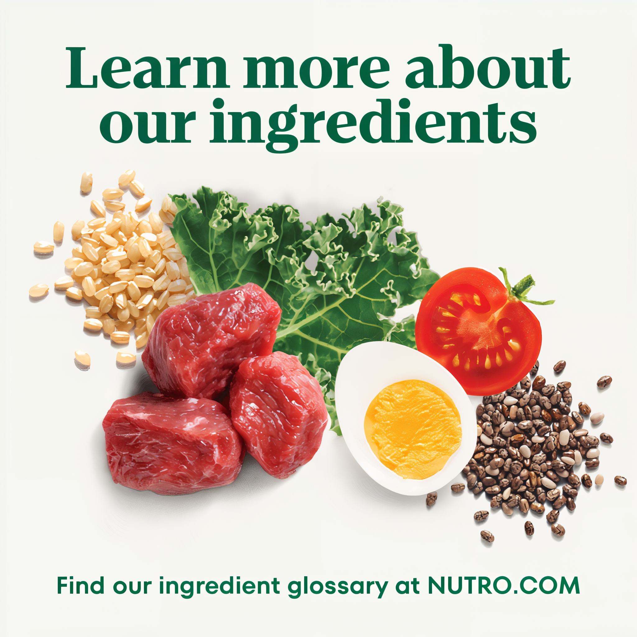 Learn more about our ingredients at the Nutro ingredient glossary