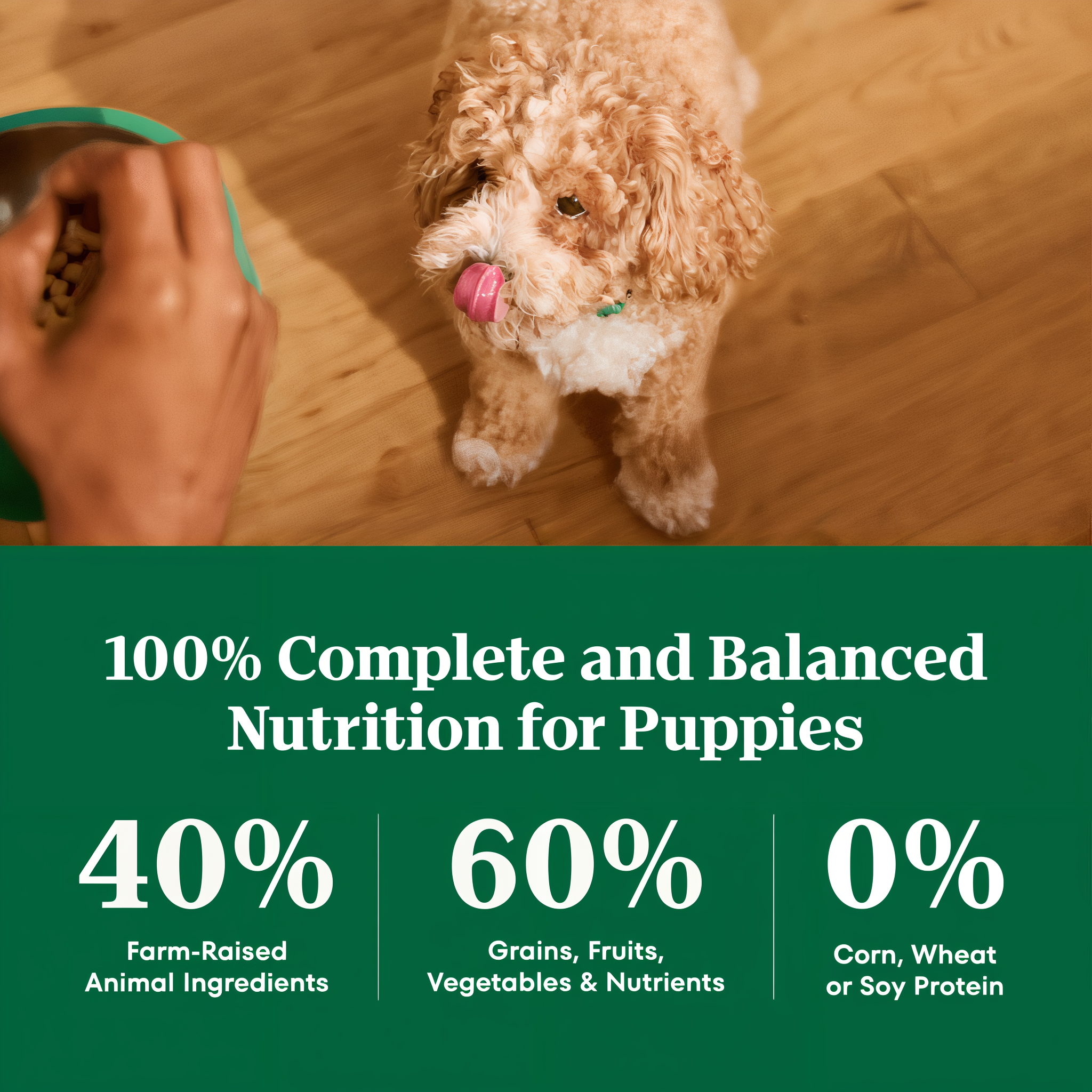 100 percent complete and balanced nutrition for puppies