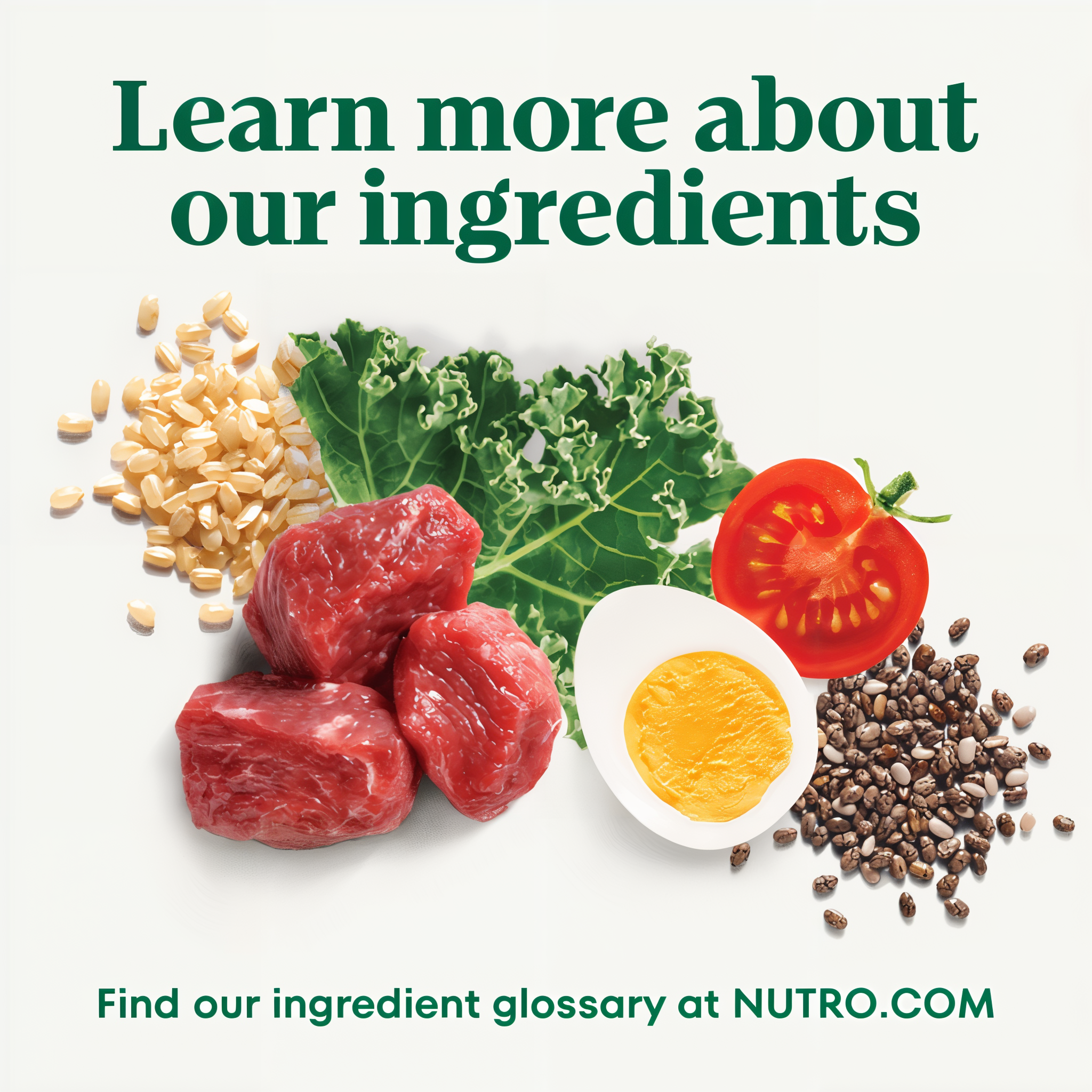 Learn more about our ingredients at the Nutro ingredient glossary