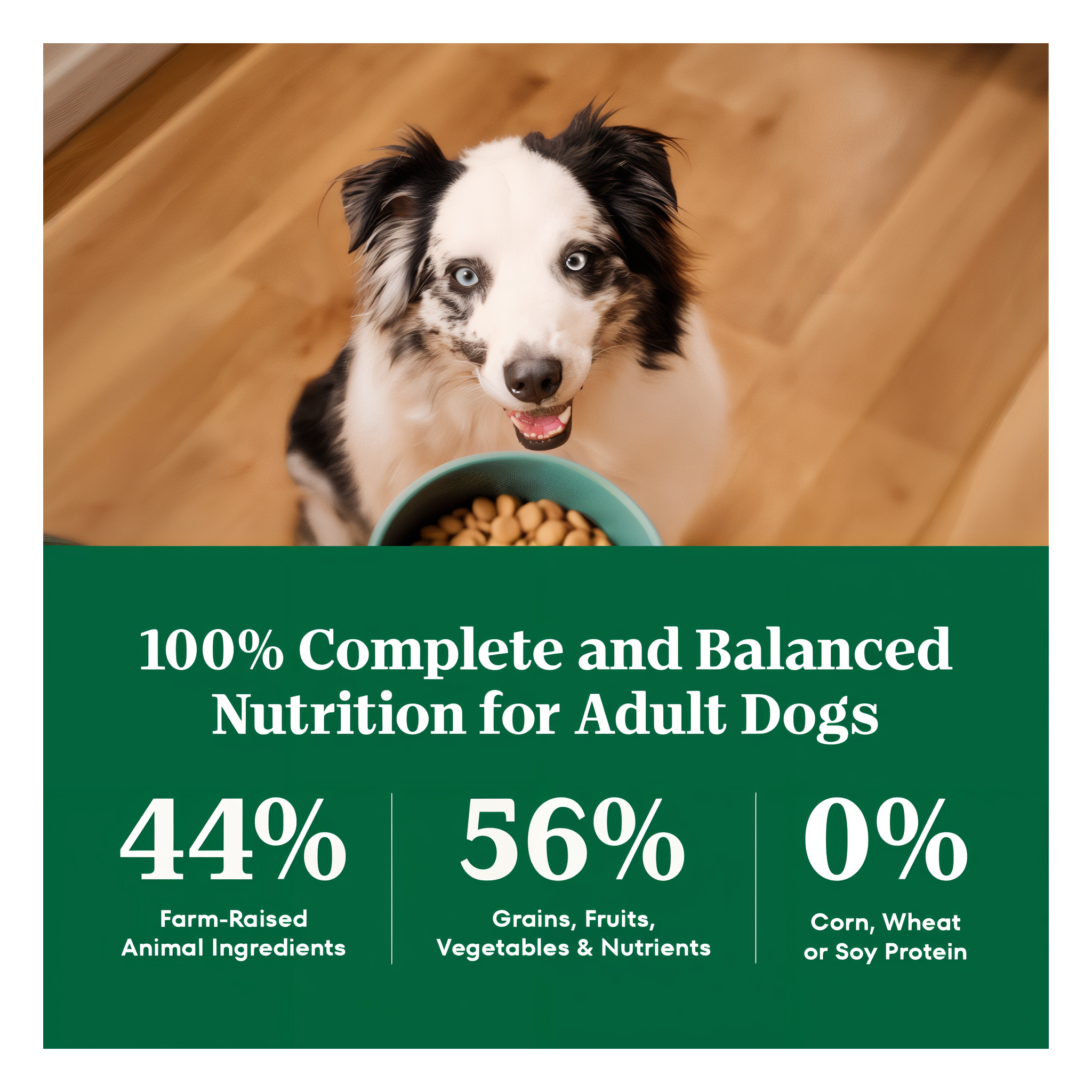 100% complete and balanced nutrition with farm-raised animal ingredients and 0% corn, wheat or soy protein