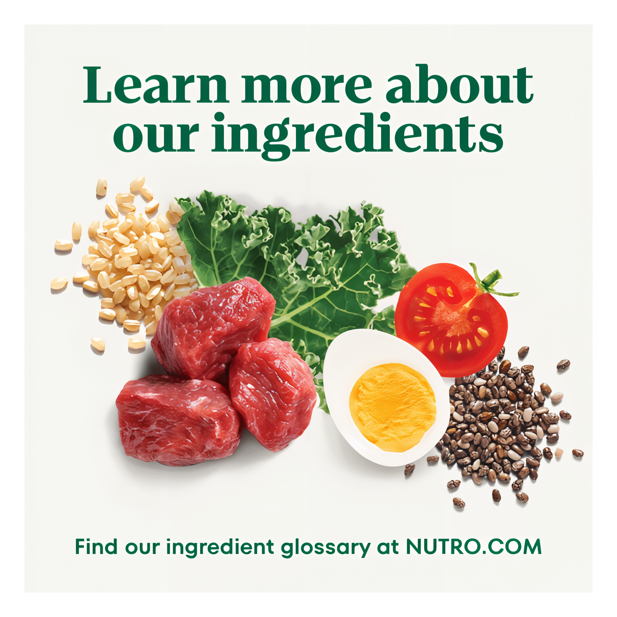 Learn more about our ingredients at the Nutro ingredient glossary