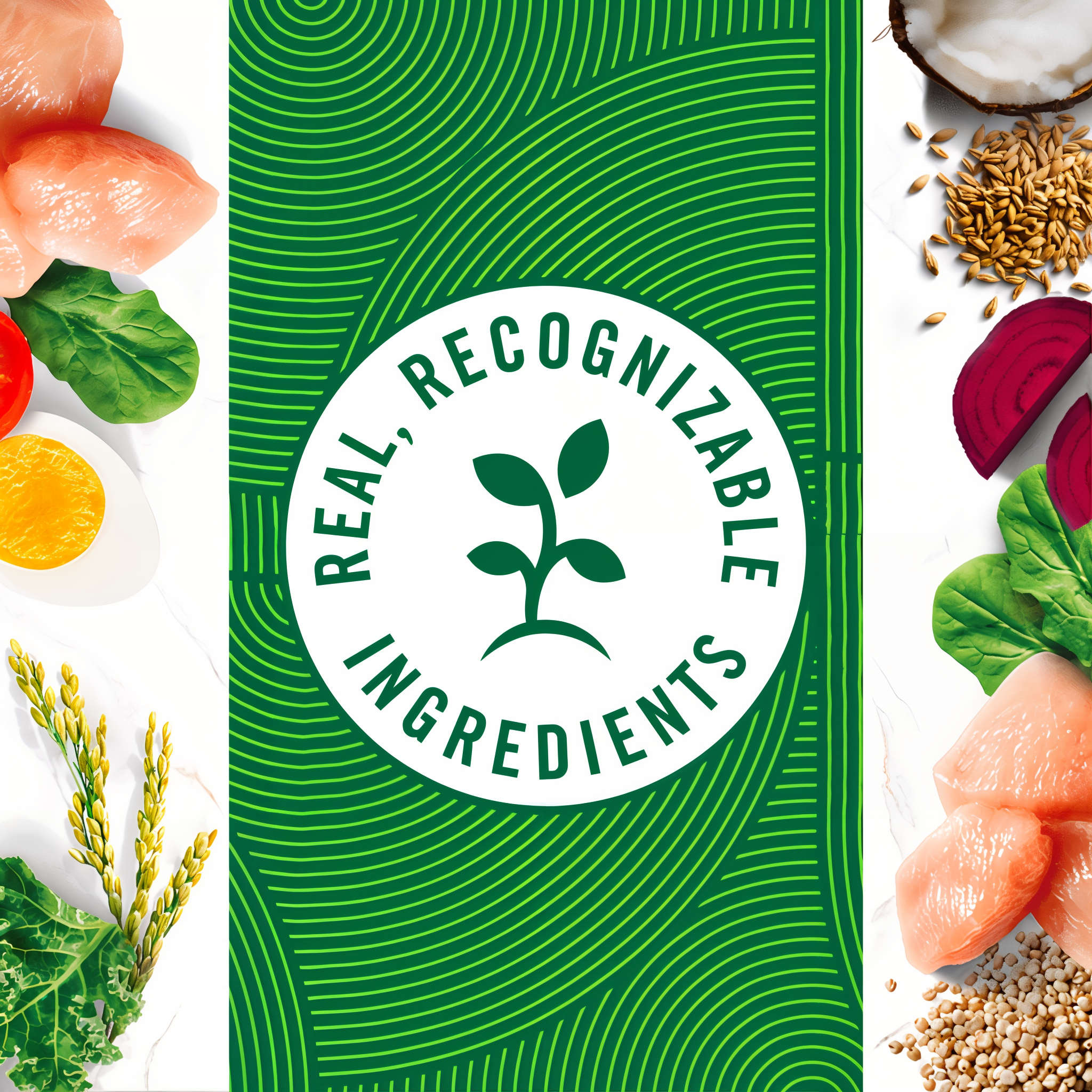 Real, recognizable ingredients including chicken, spinach, egg, beets, and whole grains