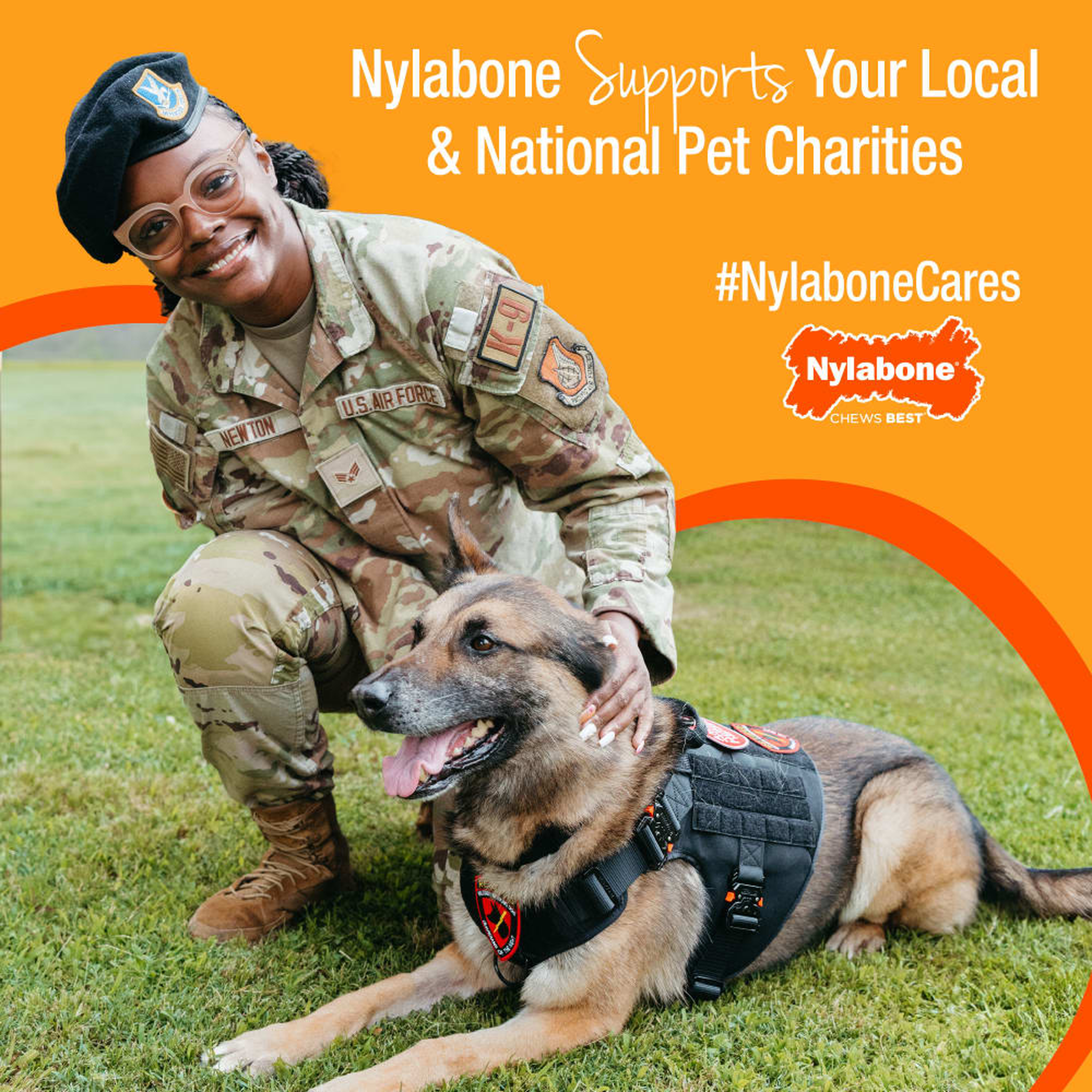 Nylabone Cares commitment to dogs and shelters
