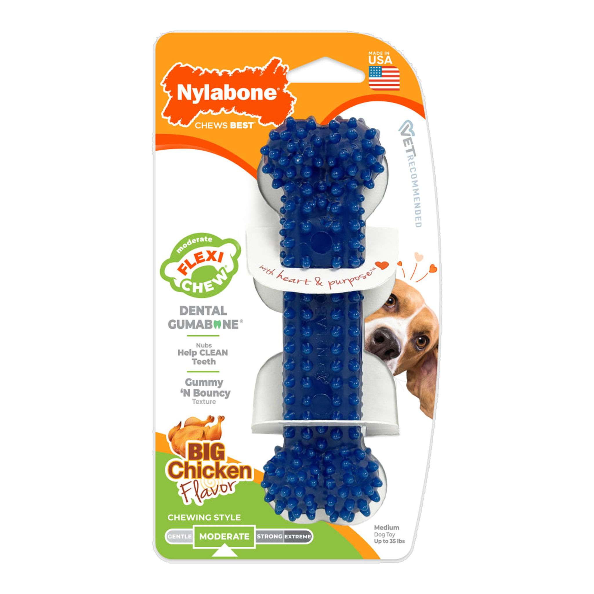 Nylabone Flexi Chew Gumabone Textured Dental Bone Chicken Medium in package, front