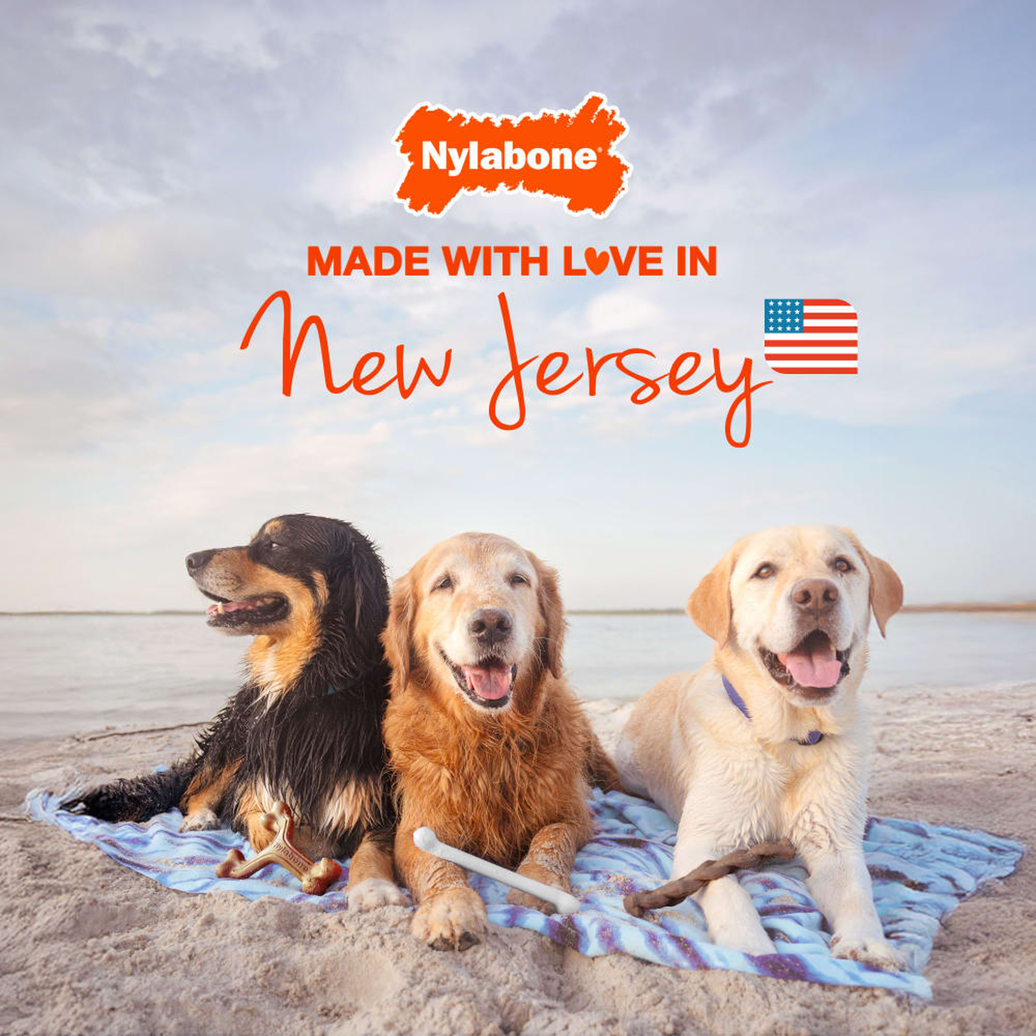 Nylabone chews made in New Jersey, USA