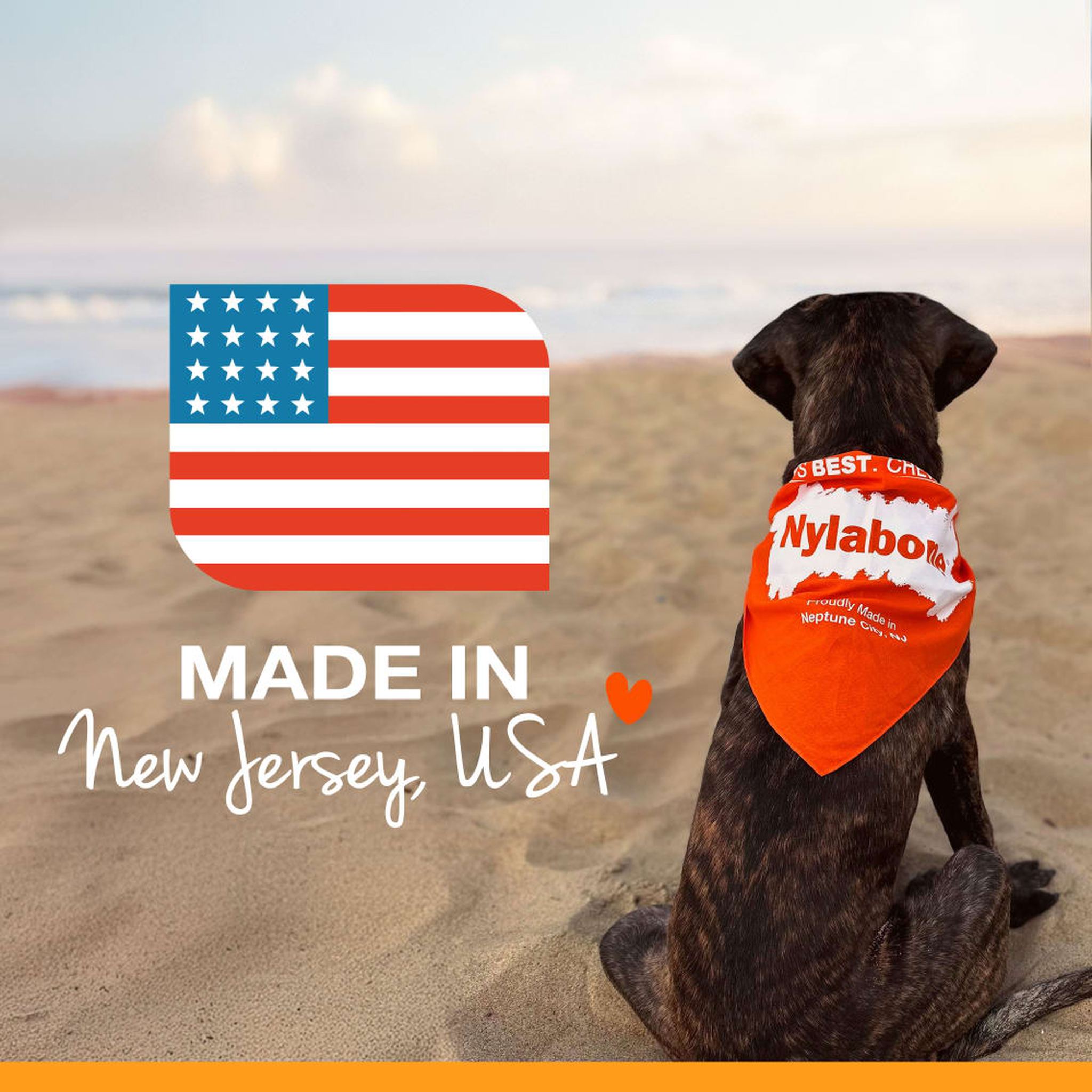 Nylabone chews made in the USA