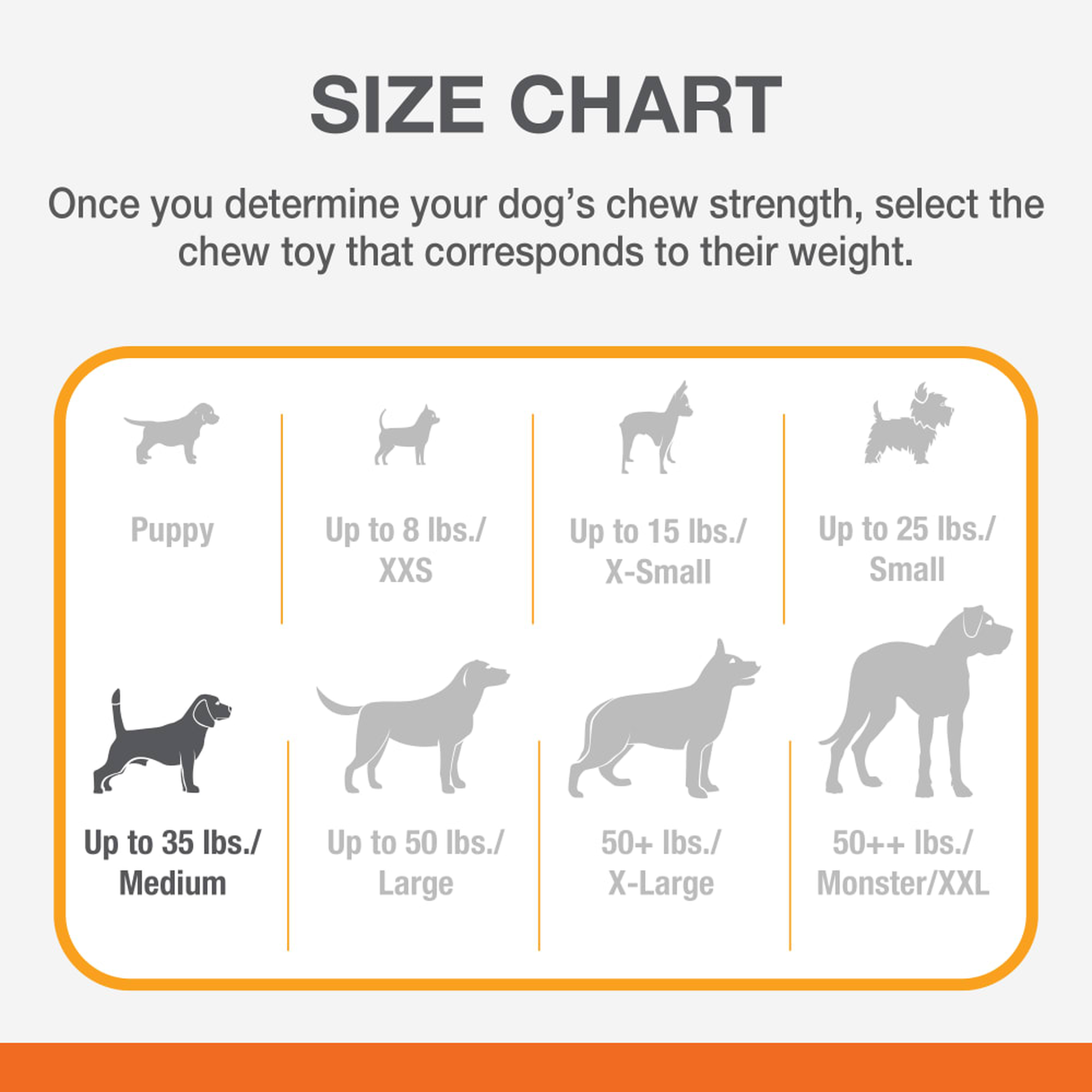 Nylabone dog size chart for the Power Chew Cheese Bone
