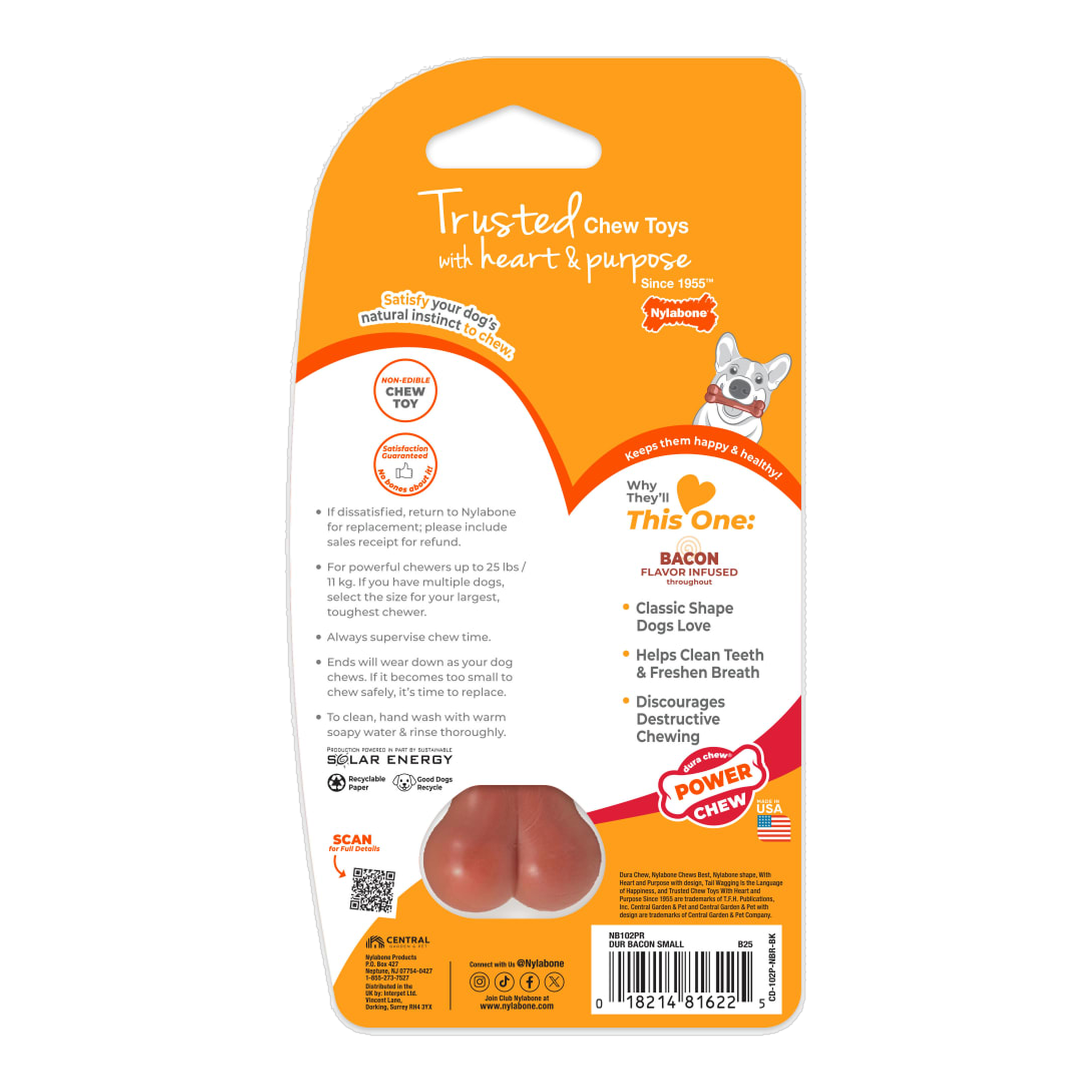 Nylabone Power Chew Original Bone package back with care and safety information (Bacon, Small)