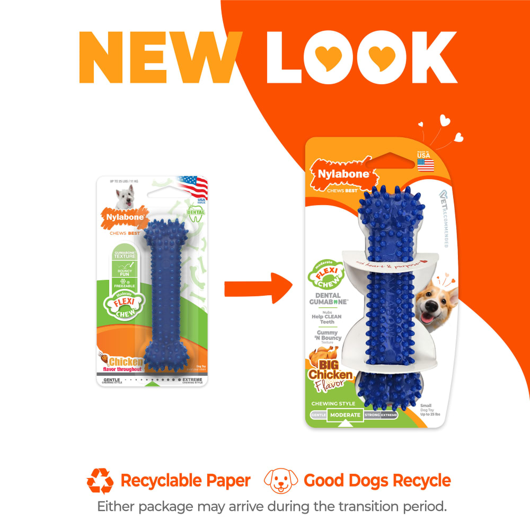 Nylabone Flexi Chew Gumabone Textured Dental Bone Chicken Small new package look