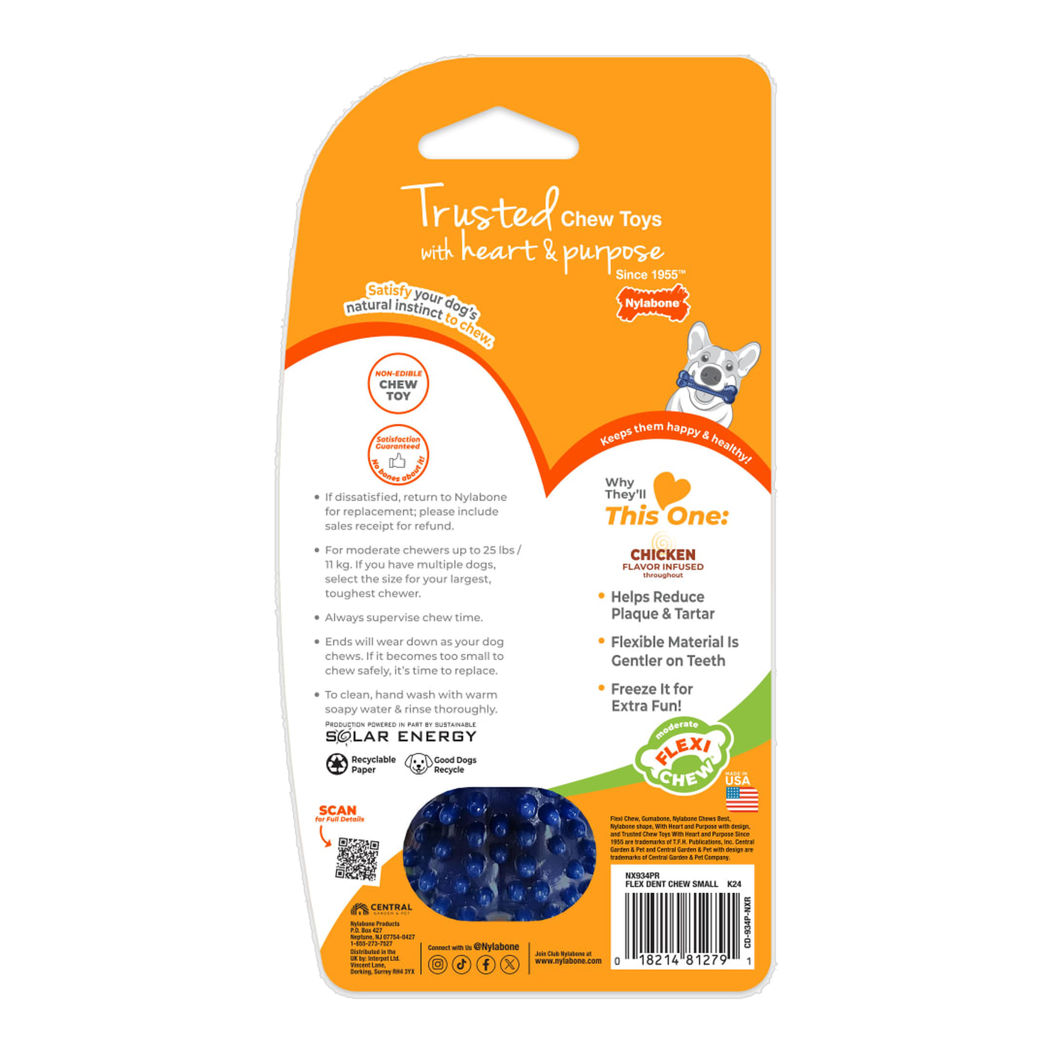 Nylabone Flexi Chew Gumabone Textured Dental Bone Chicken Small package back with care and safety information