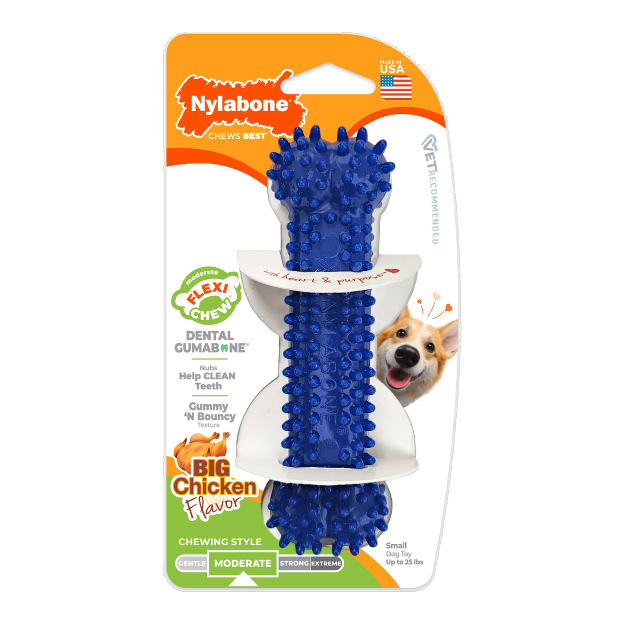 Nylabone Flexi Chew Gumabone Textured Dental Bone Chicken Small in package, front
