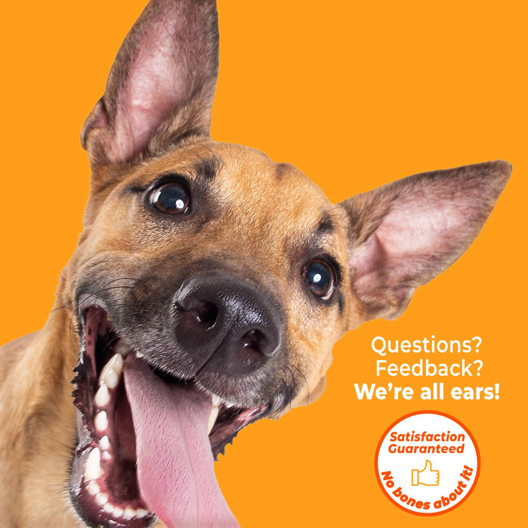 Nylabone satisfaction guarantee