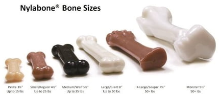 Nylabone Dura Chew Power Chew Textured Ring