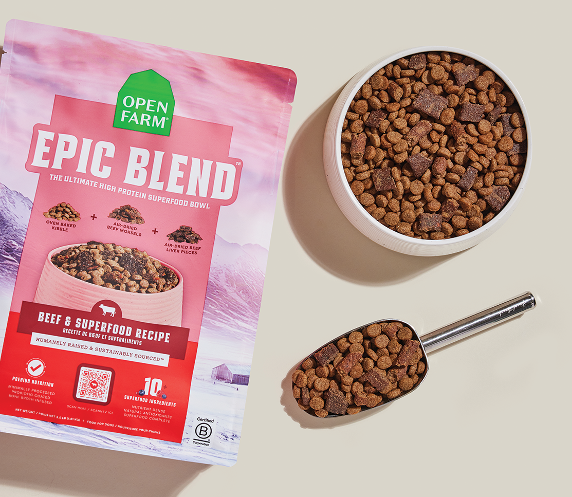 Open Farm Epic Blend Beef & Superfood bag with a bowl of kibble and scoop