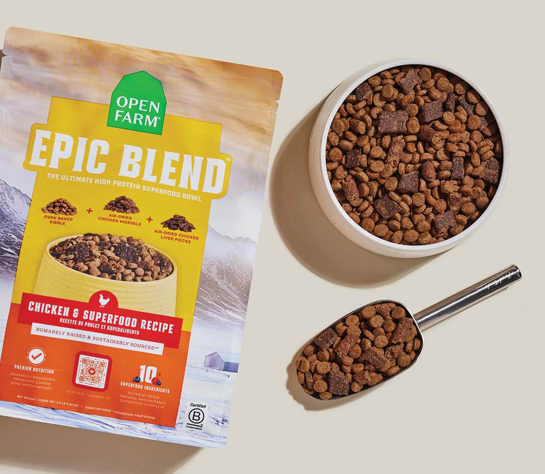 Open Farm Epic Blend Chicken & Superfood bag with a bowl of kibble and scoop