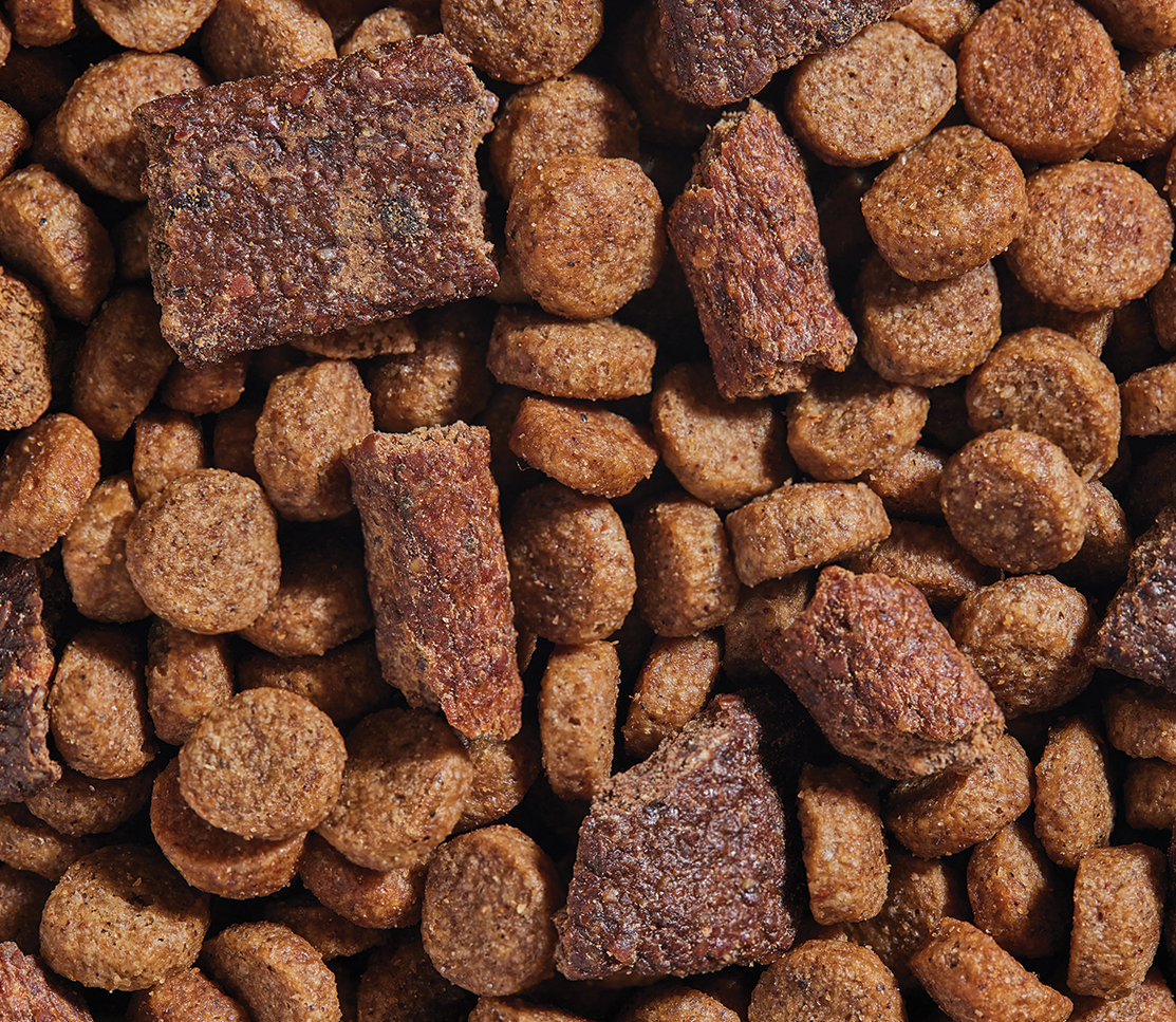 Open Farm Epic Blend Chicken kibble, air-dried morsels, and liver pieces close-up