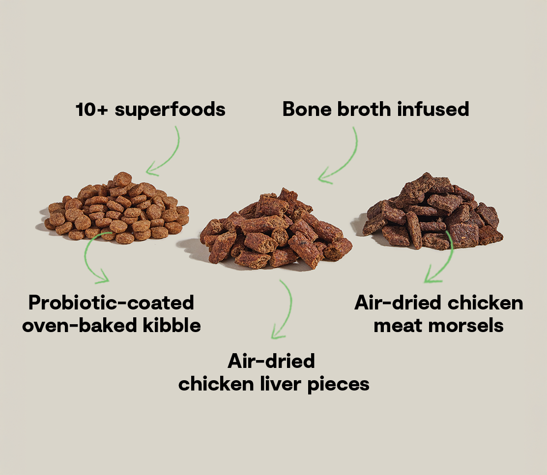 Open Farm Epic Blend Chicken benefits: oven-baked kibble, air-dried morsels, liver, bone broth