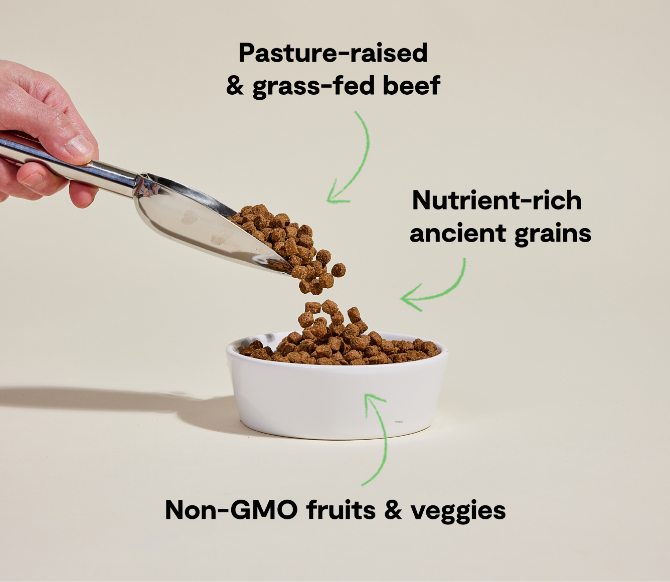 Open Farm Grass-Fed Beef & Ancient Grains Dog Kibble key benefits