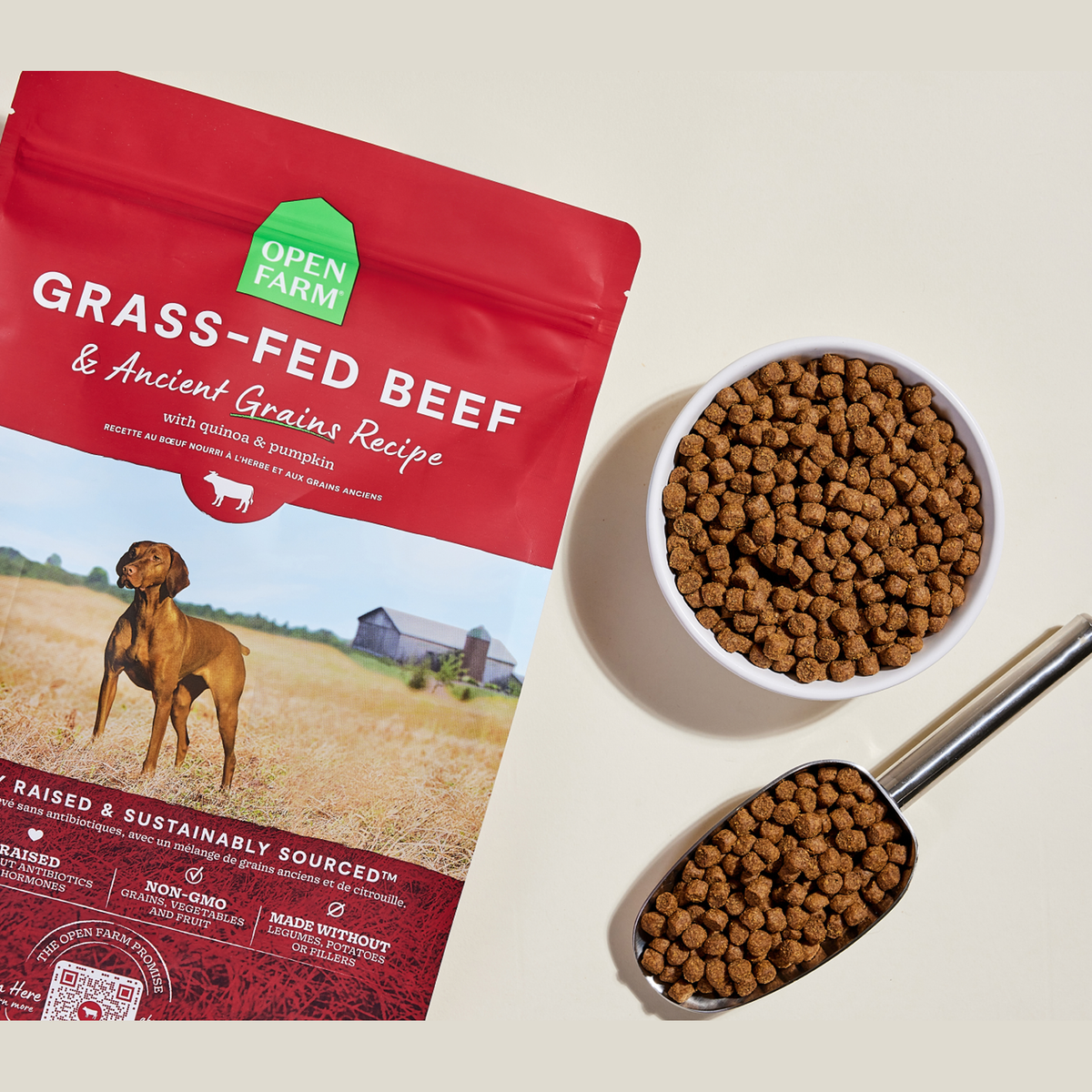 Open Farm Grass-Fed Beef & Ancient Grains Dog Kibble -- kibble in a bowl with a serving scoop