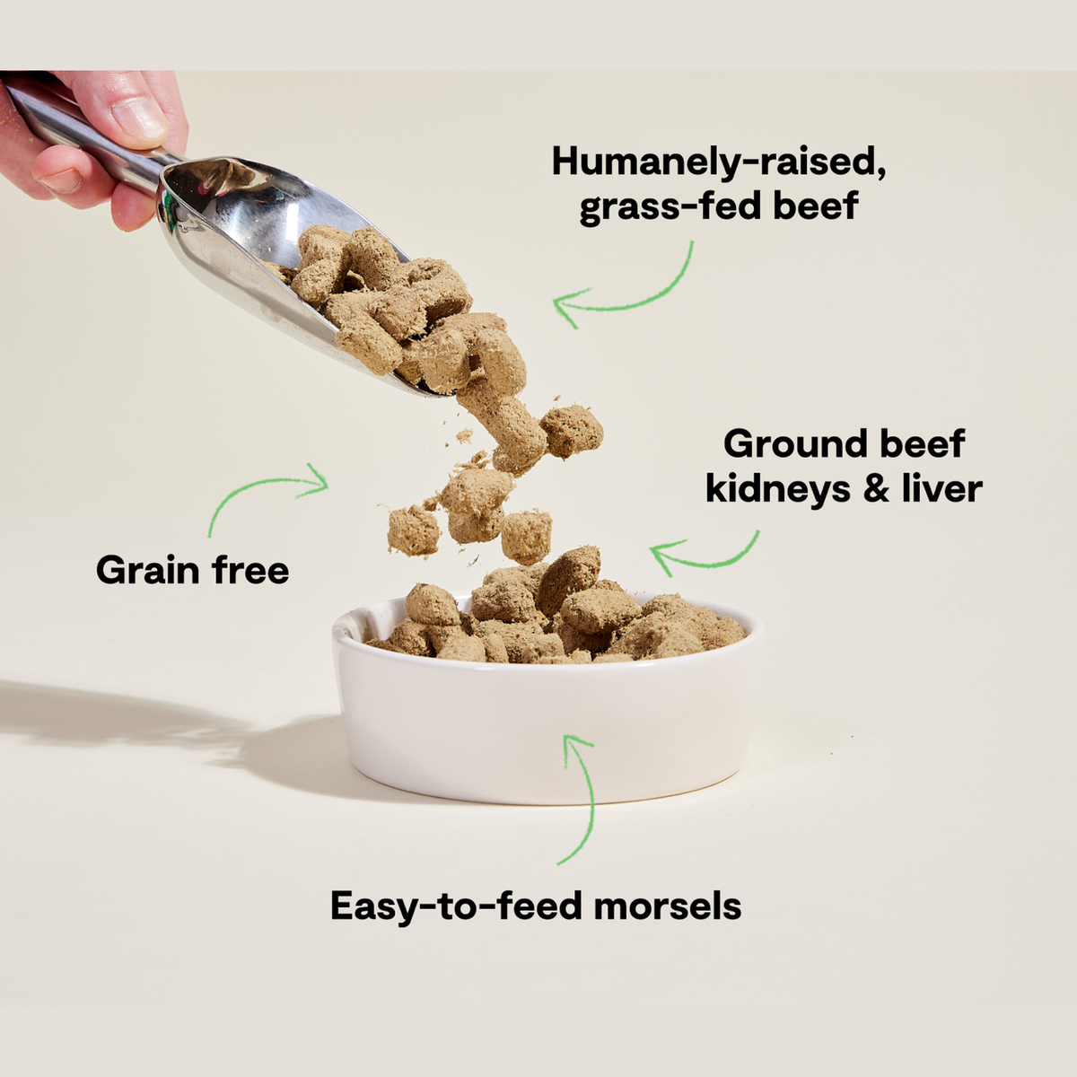 Open Farm Grass-Fed Beef Freeze Dried Raw Morsels for Dogs -- open farm grass-fed beef freeze dried raw benefits - humanely raised grass-fed beef