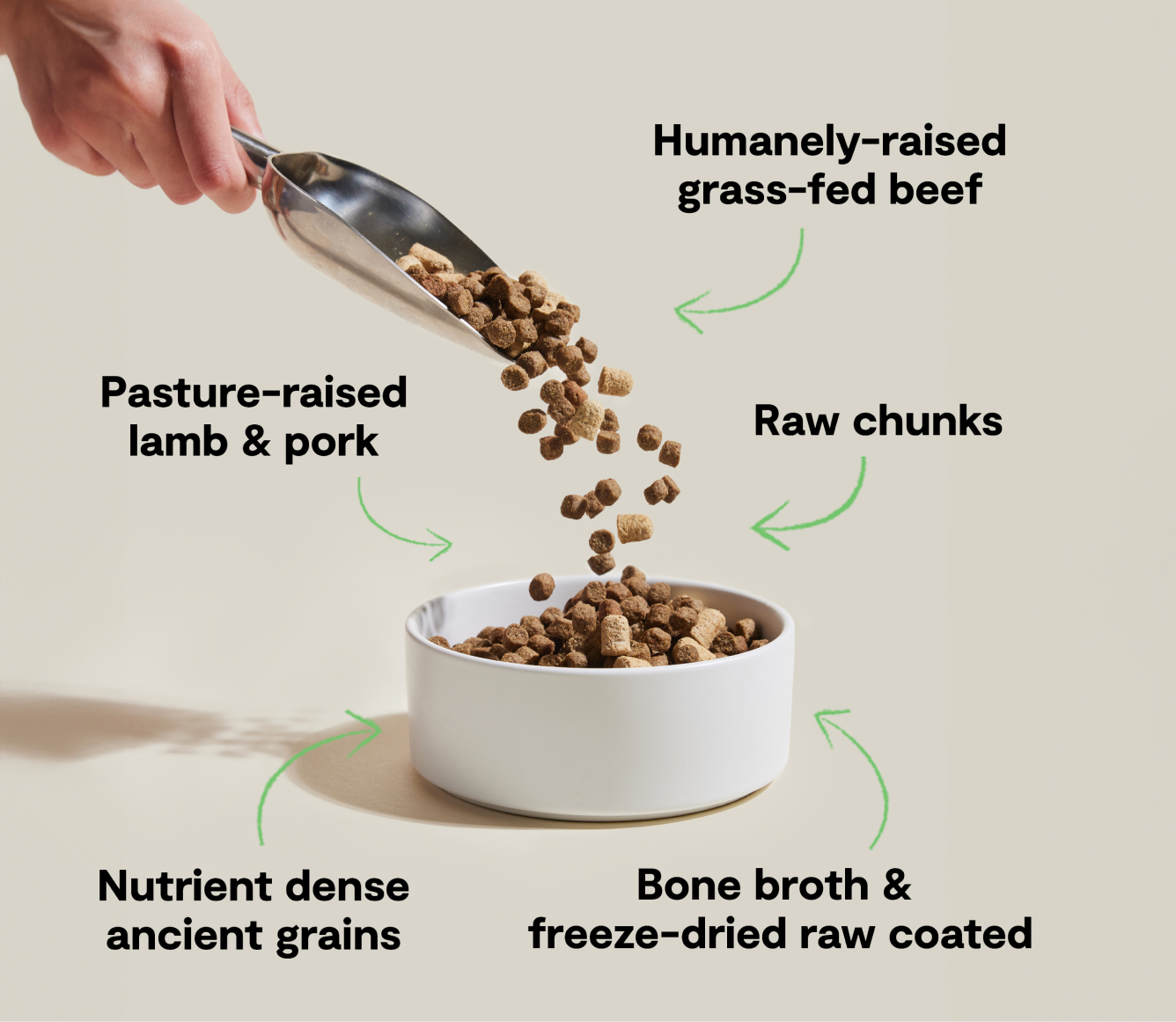 Open Farm RawMix Front Range Ancient Grains Dog Kibble recipe benefits infographic
