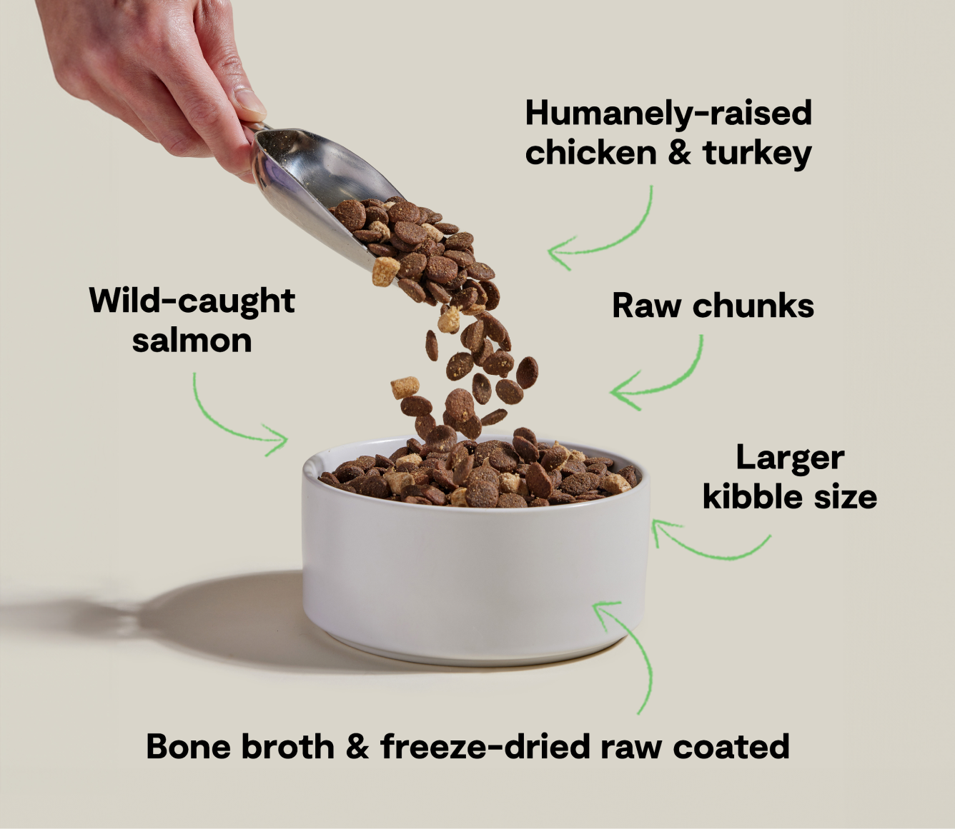 Open Farm RawMix Large Breed Ancient Grains Dog Kibble recipe benefits infographic