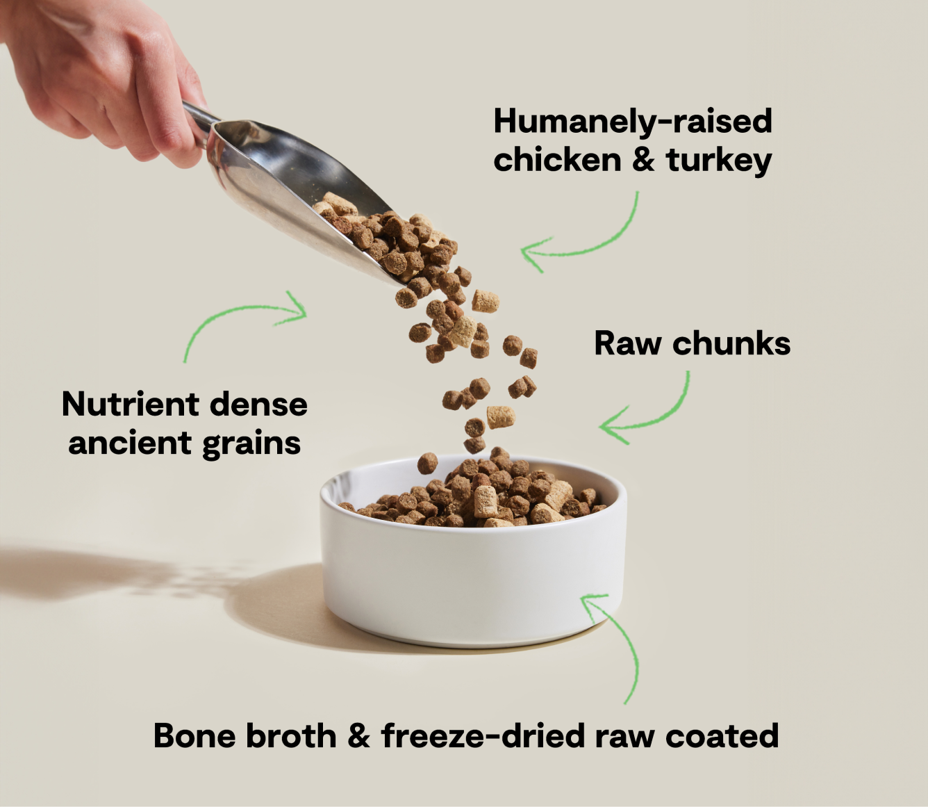 Open Farm RawMix Open Prairie Ancient Grains Dog Kibble recipe benefits infographic