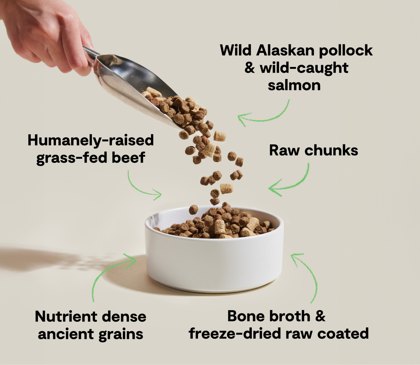 Open Farm RawMix Tide & Terrain Ancient Grains Dog Kibble recipe benefits infographic