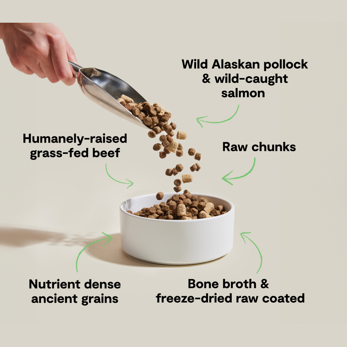 Open Farm RawMix Tide & Terrain Ancient Grains Dog Kibble -- recipe benefits infographic