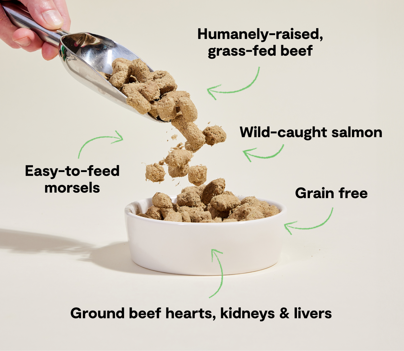 Open Farm Surf and Turf freeze dried raw benefits - humanely raised grass-fed beef, wild-caught salmon, grain free, easy to feed morsels