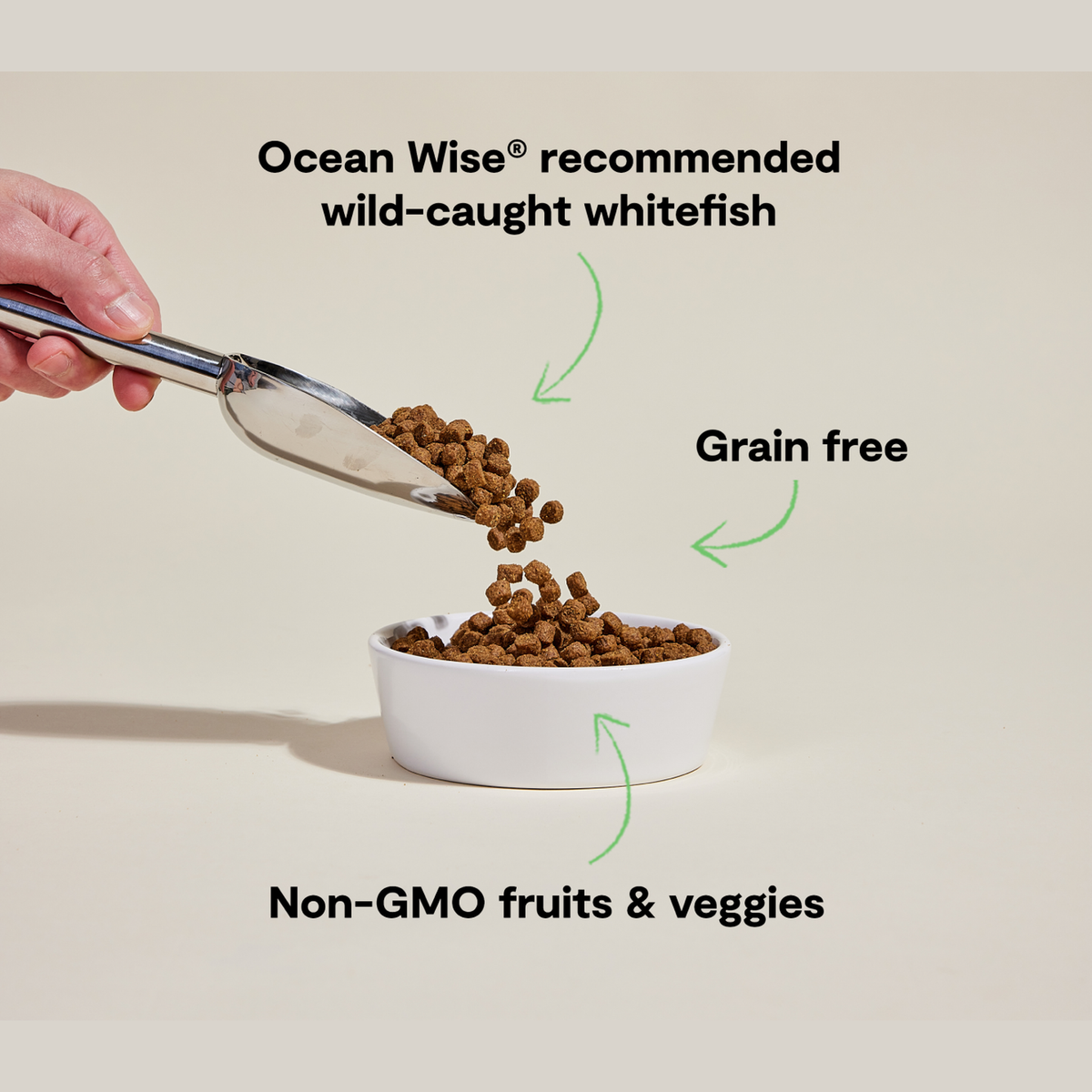 Open Farm Whitefish Grain-Free Dog Kibble -- key benefits