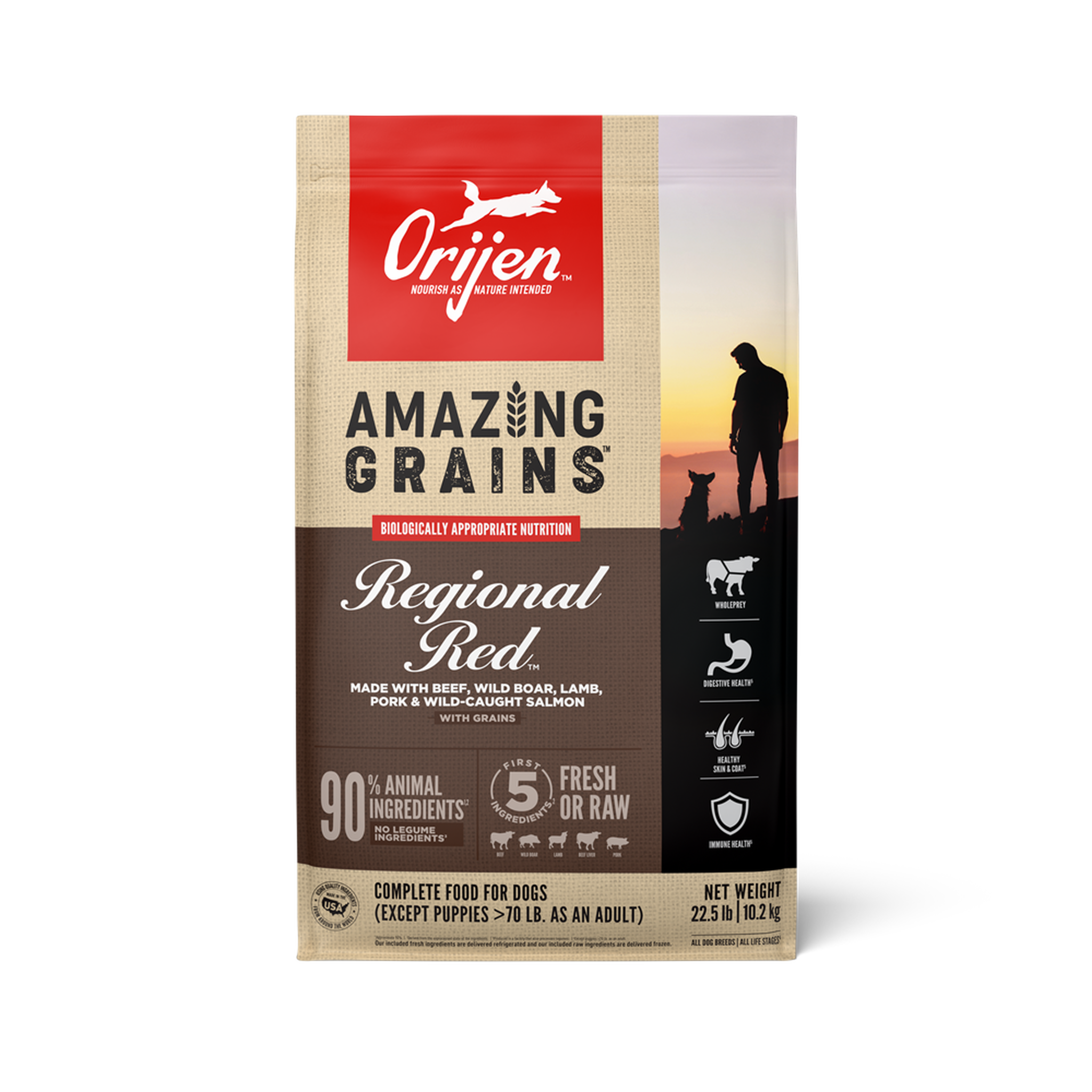 ORIJEN Amazing Grains Regional Red dry dog food front of bag with grains
