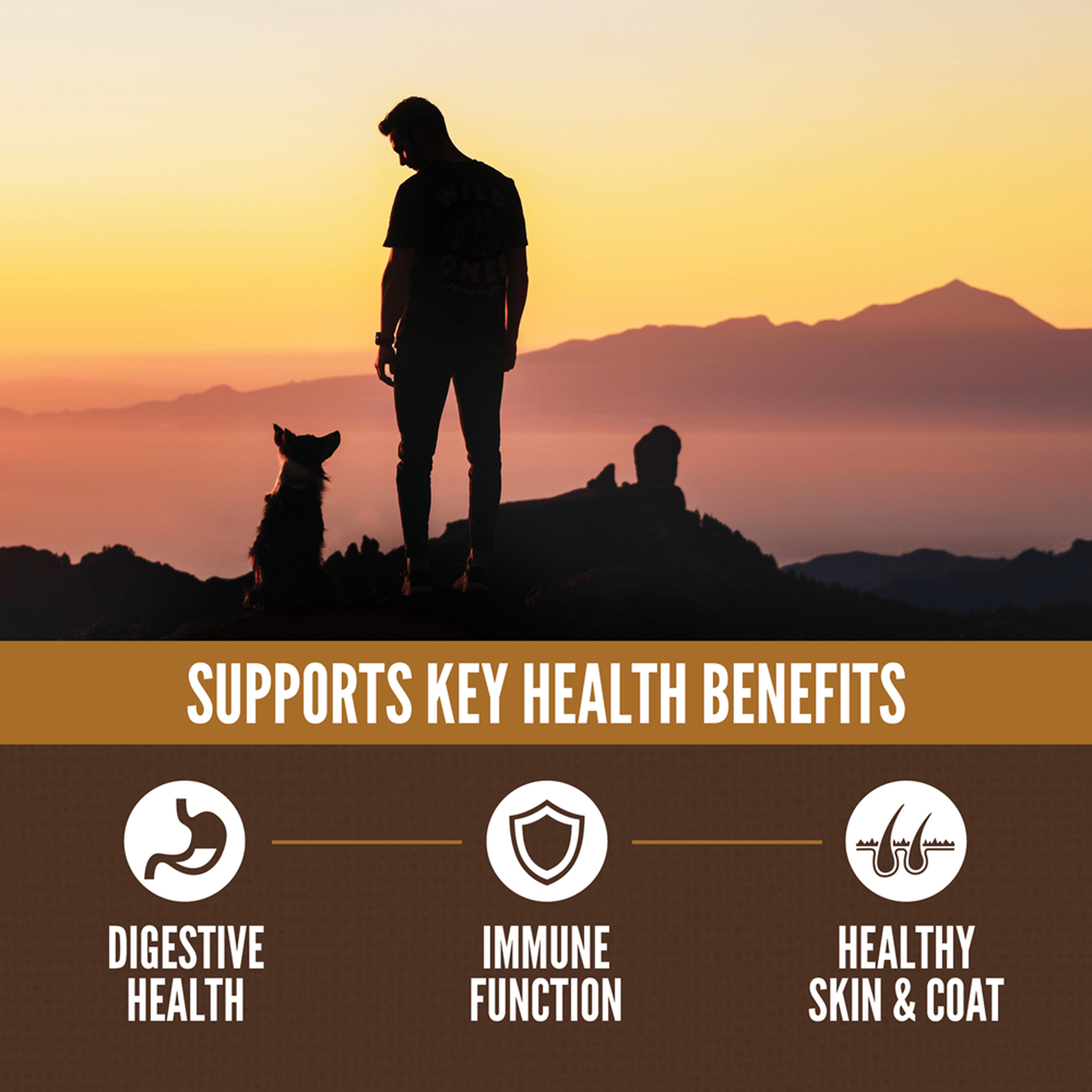 ORIJEN Amazing Grains Regional Red supports digestive health, immune function and healthy skin and coat