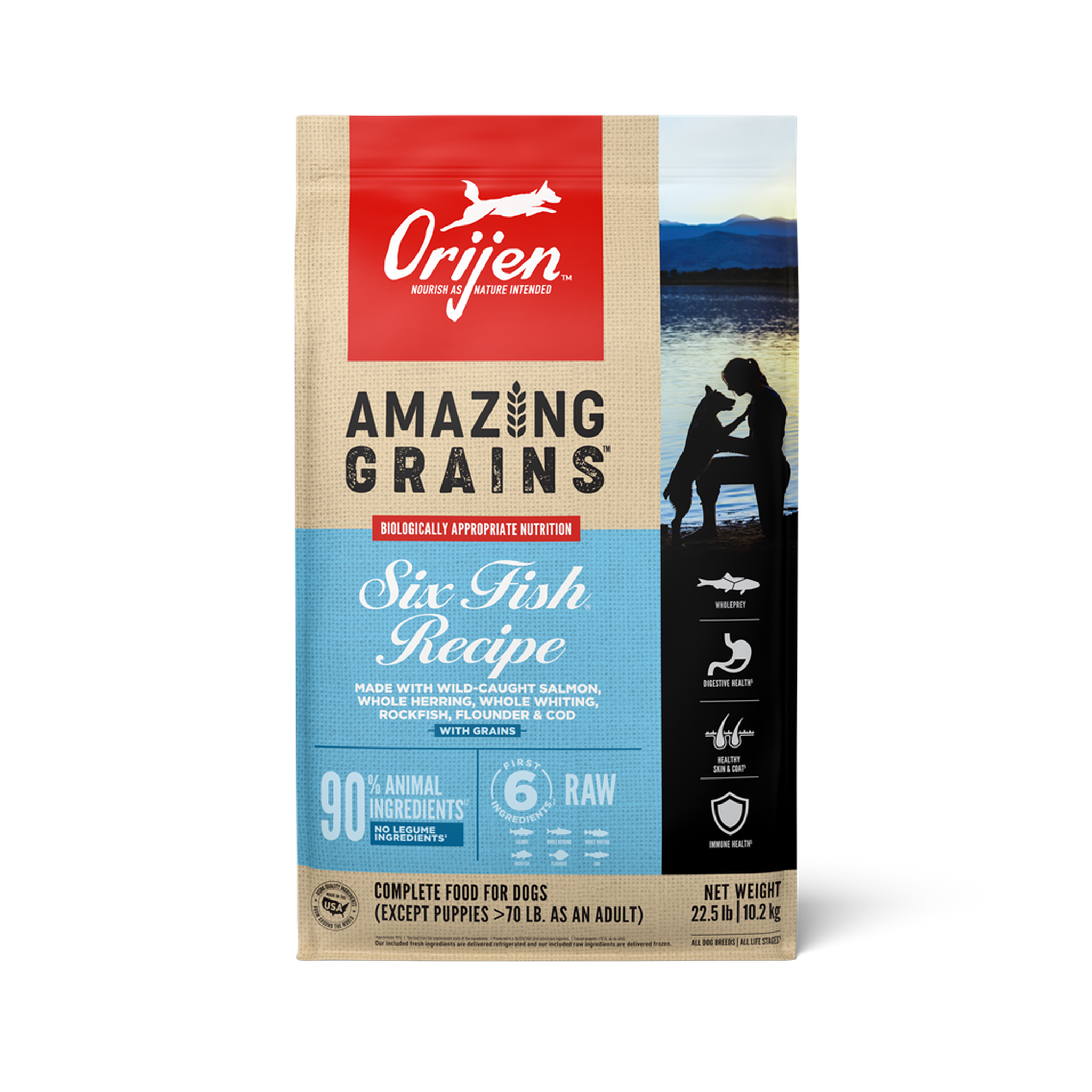ORIJEN Amazing Grains Six Fish Recipe dry dog food front of 22.5 lb bag, made with wild-caught salmon, whole herring, whole whiting, rockfish, flounder and cod, with grains