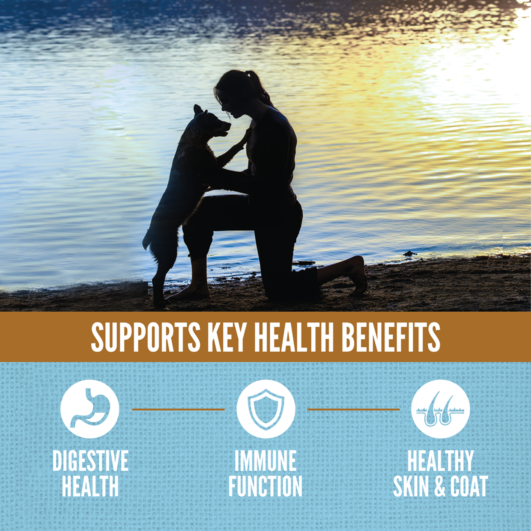 ORIJEN Six Fish supports key health benefits including digestive health, immune function and healthy skin and coat