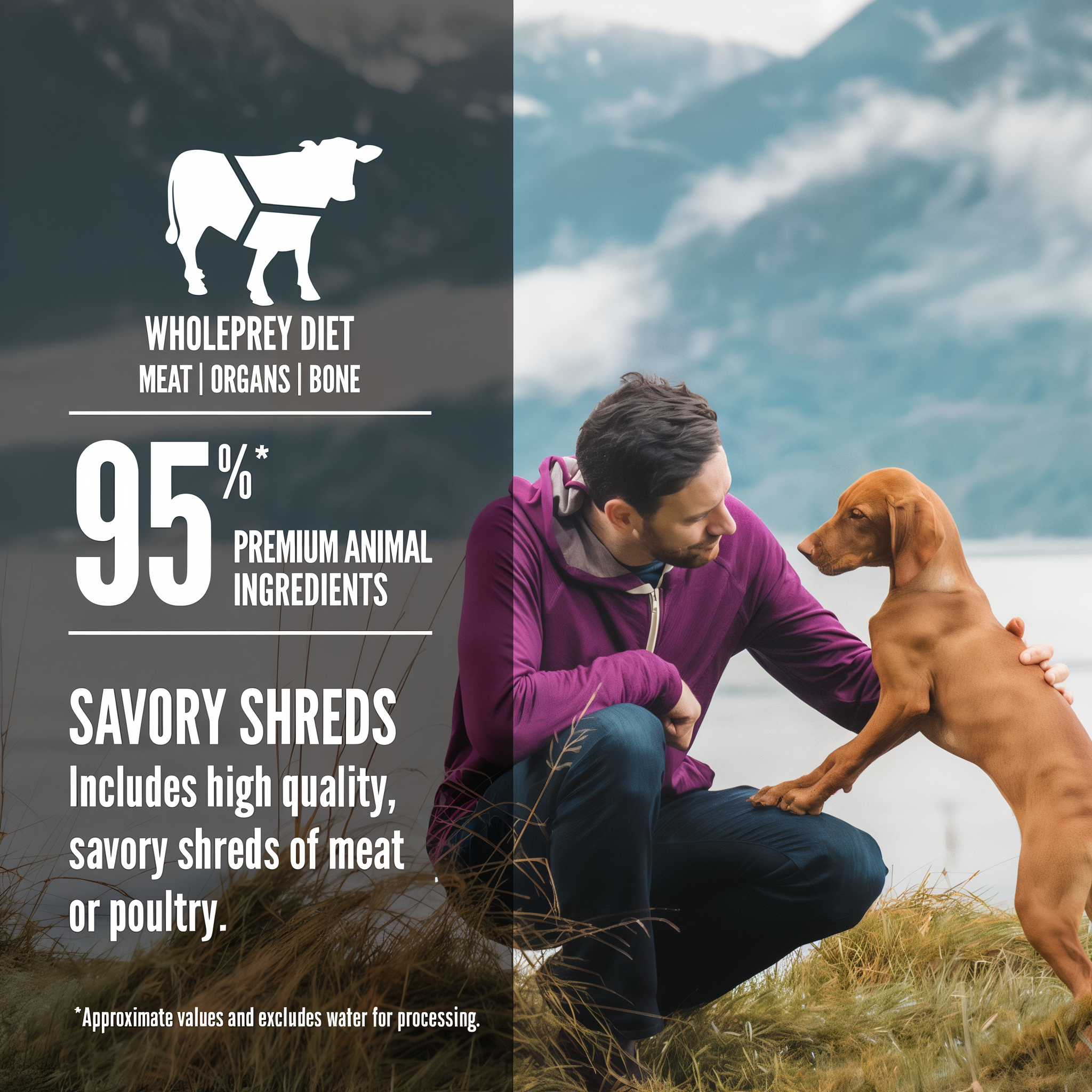 ORIJEN WholePrey diet highlights: meat, organs, and bone with 95 percent premium animal ingredients and savory shreds of meat, shown with a puppy and owner outdoors