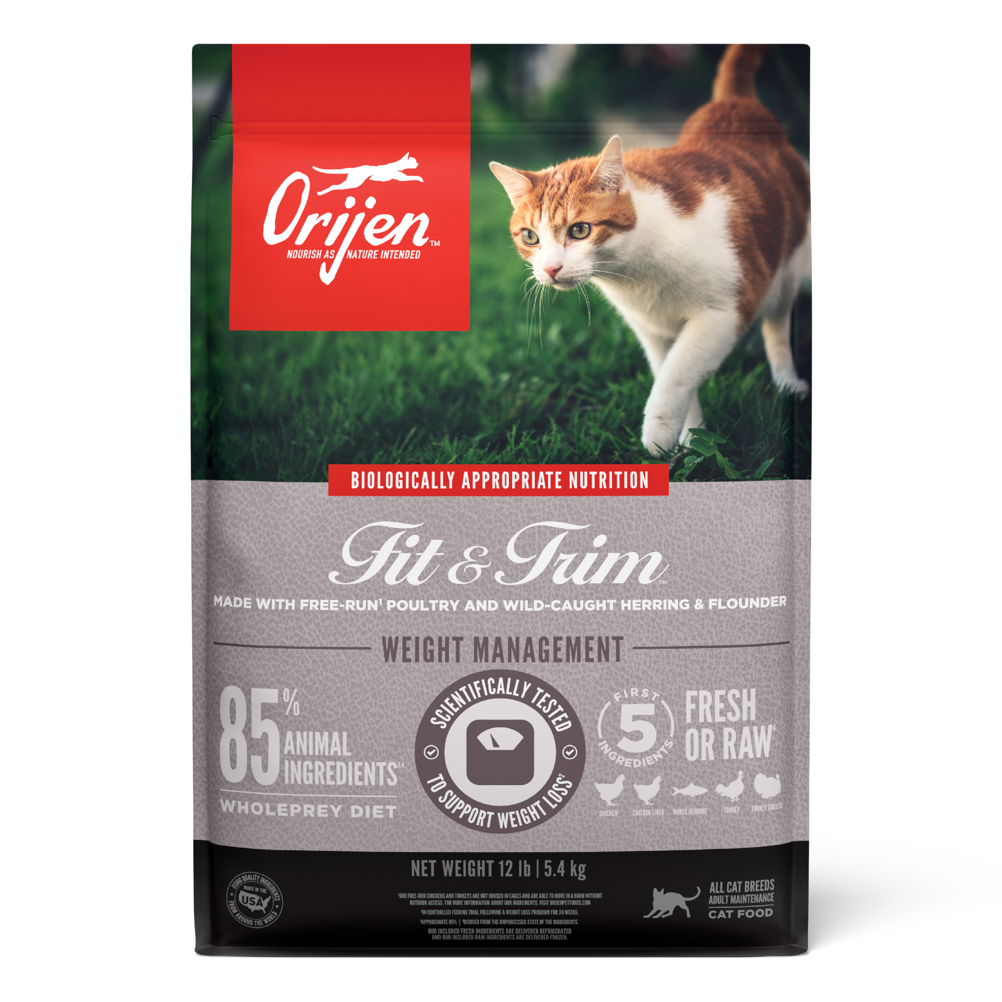 ORIJEN Fit & Trim dry cat food, front of the bag showing an orange-and-white cat walking on grass with Biologically Appropriate Nutrition, weight management, 85 percent animal ingredients, WholePrey diet, and first 5 fresh or raw ingredients callouts